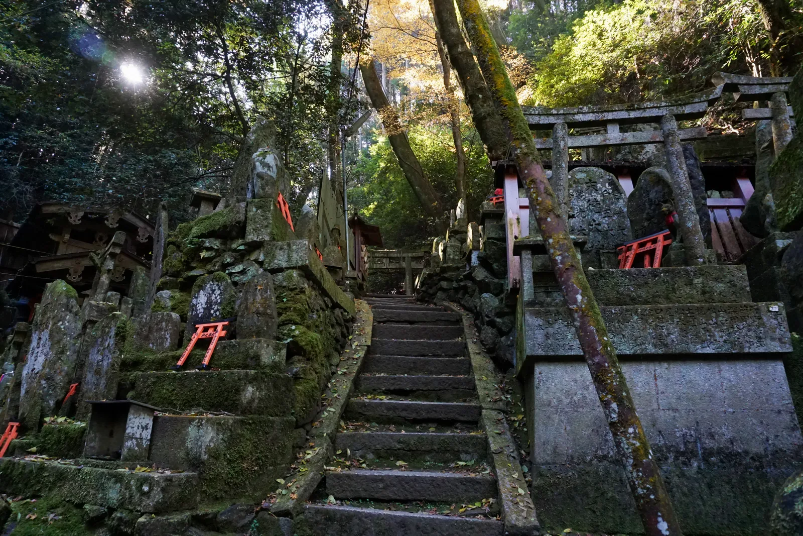 Stone steps between altars and a torii at Kiyotaki on Mount Inari
