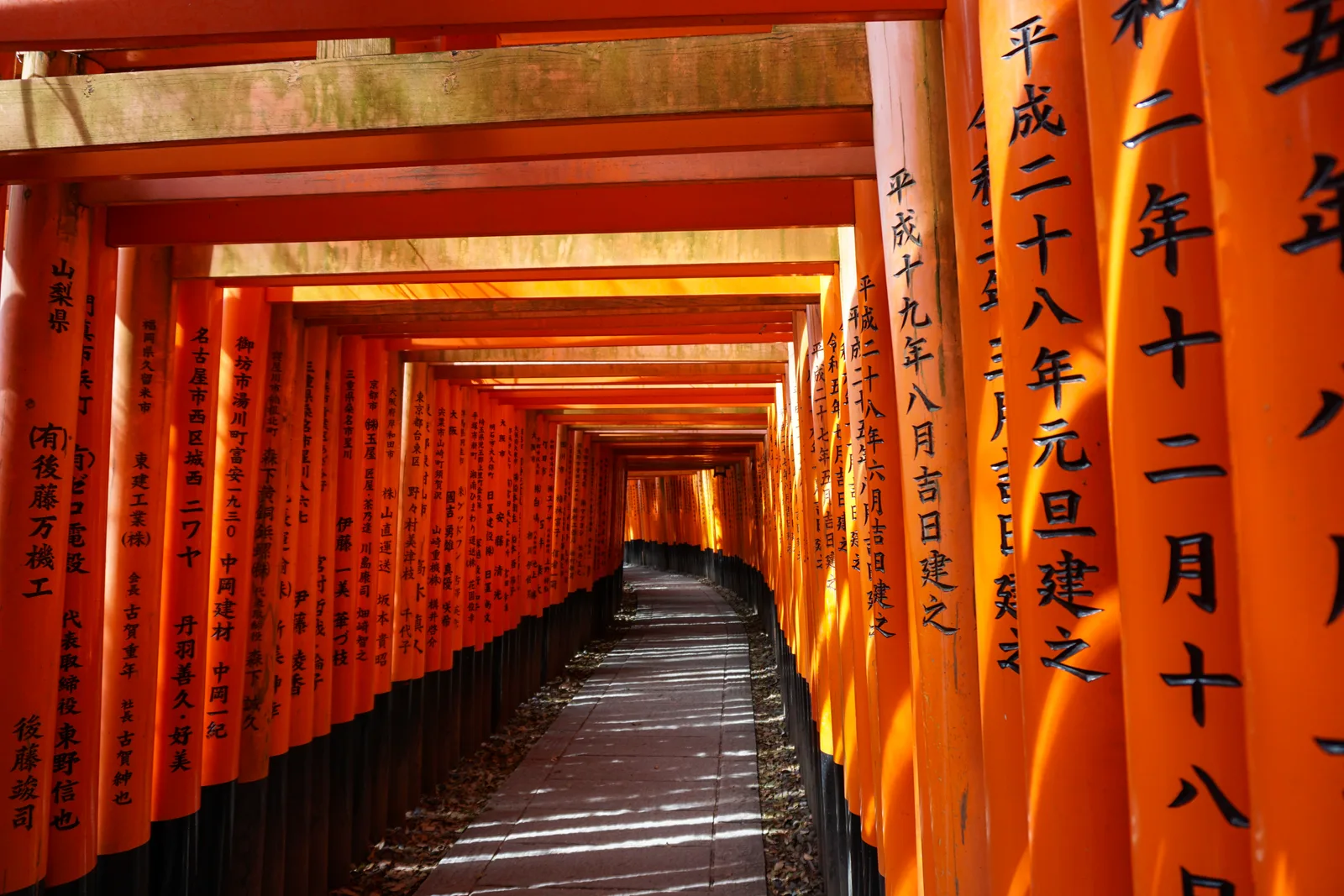 Senbon Torii on the approach to Fushimi Inari Taisha