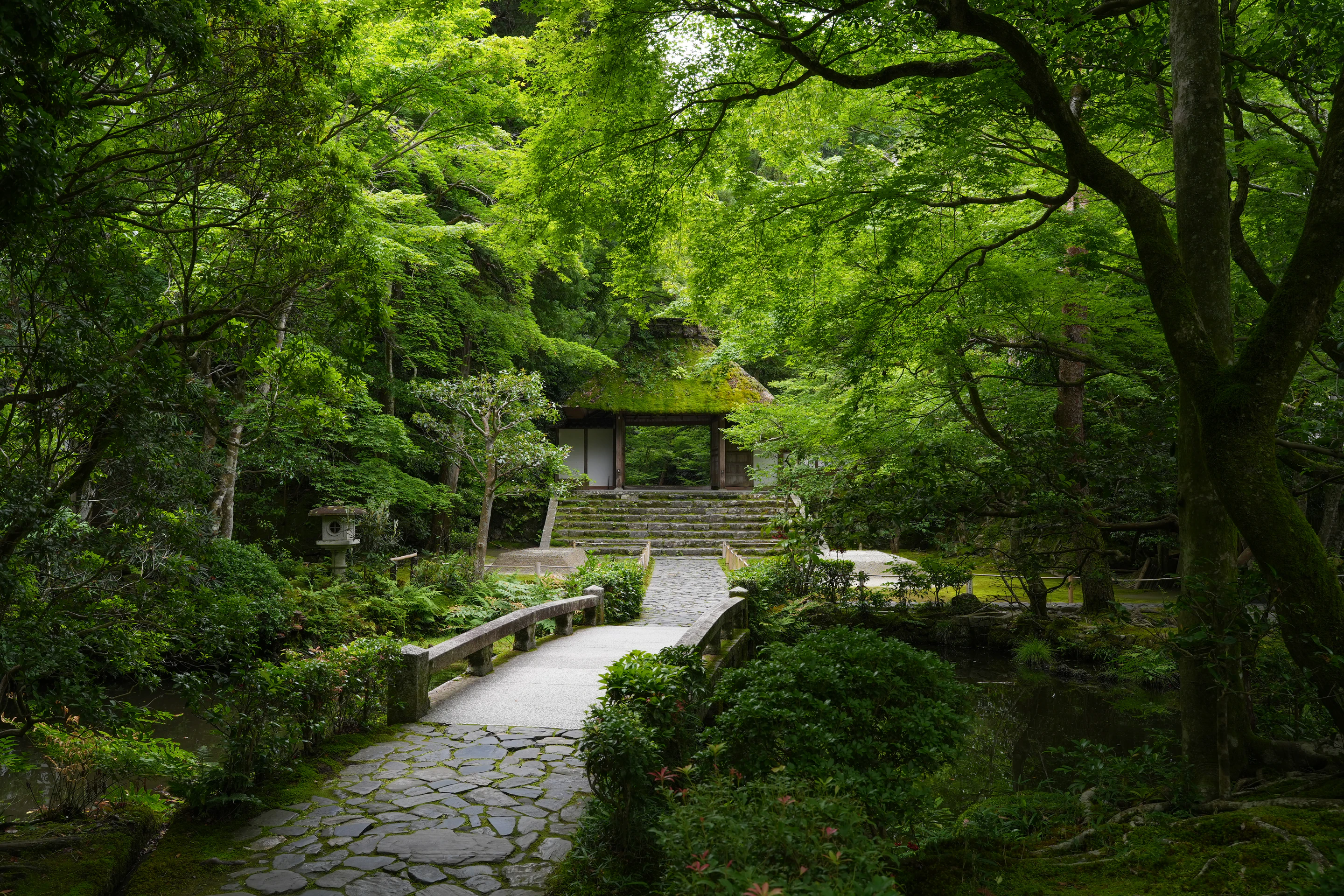 Kyoto temple garden landscape