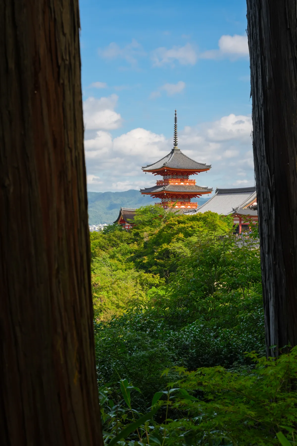 Kyoto temple garden landscape