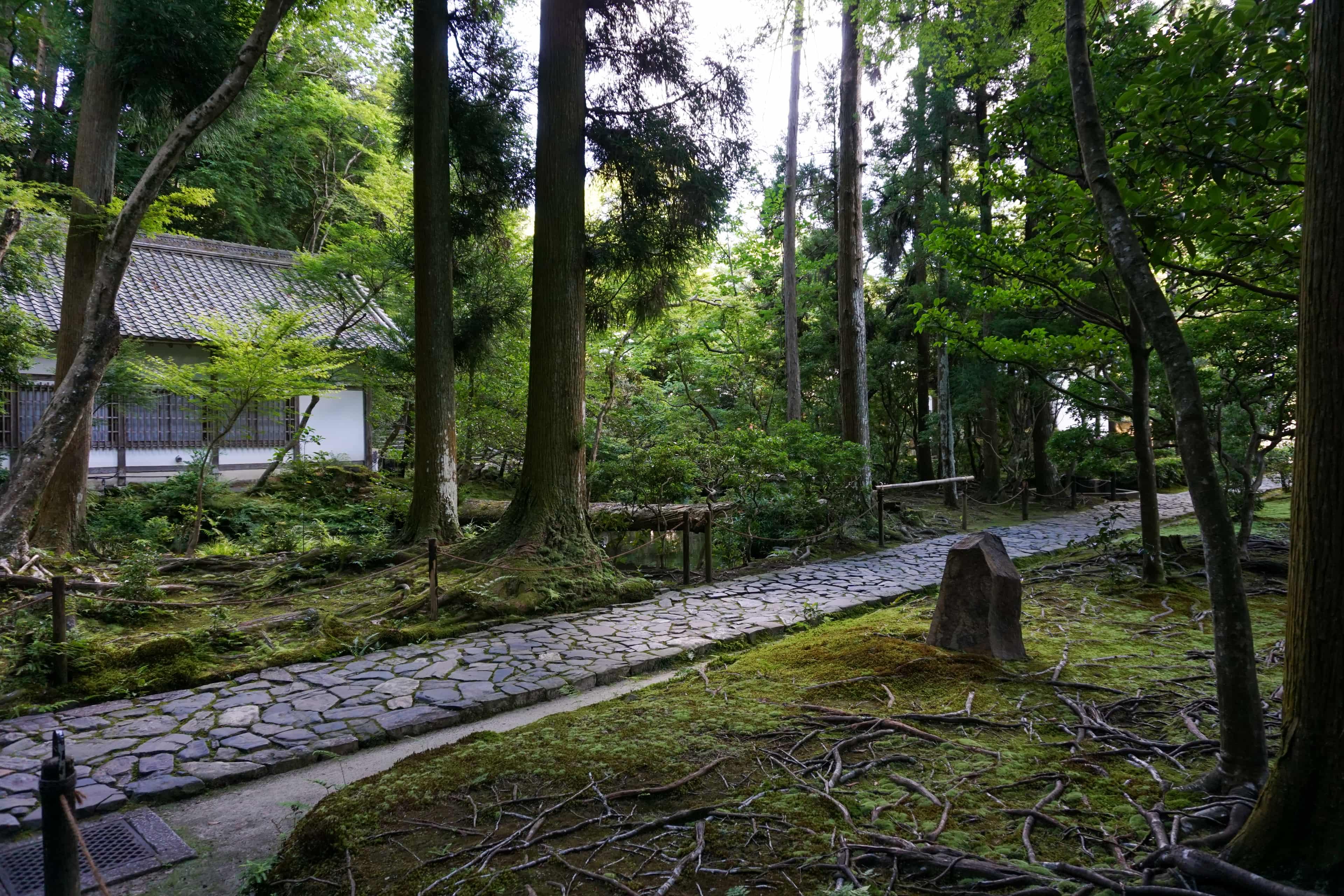 Silver Pavilion and Philosopher's Path Walk photo 8