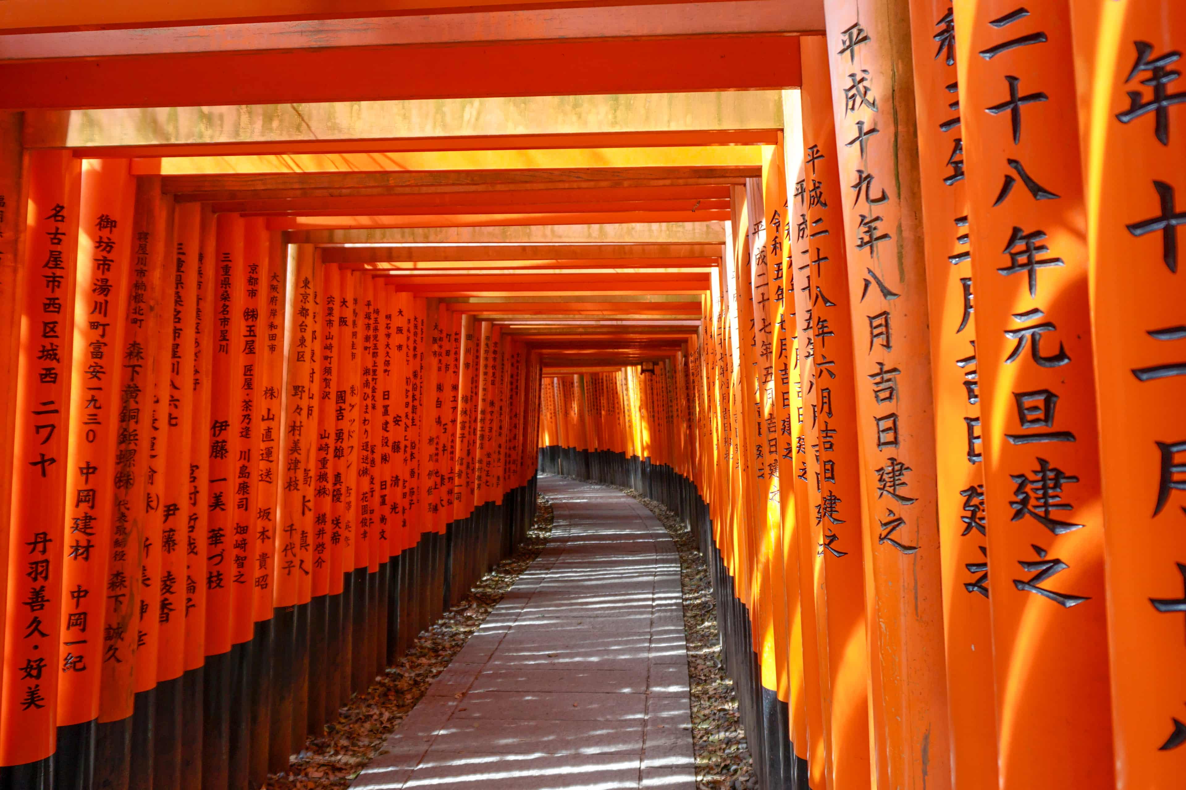 Fushimi Inari Taisha Hike photo 11