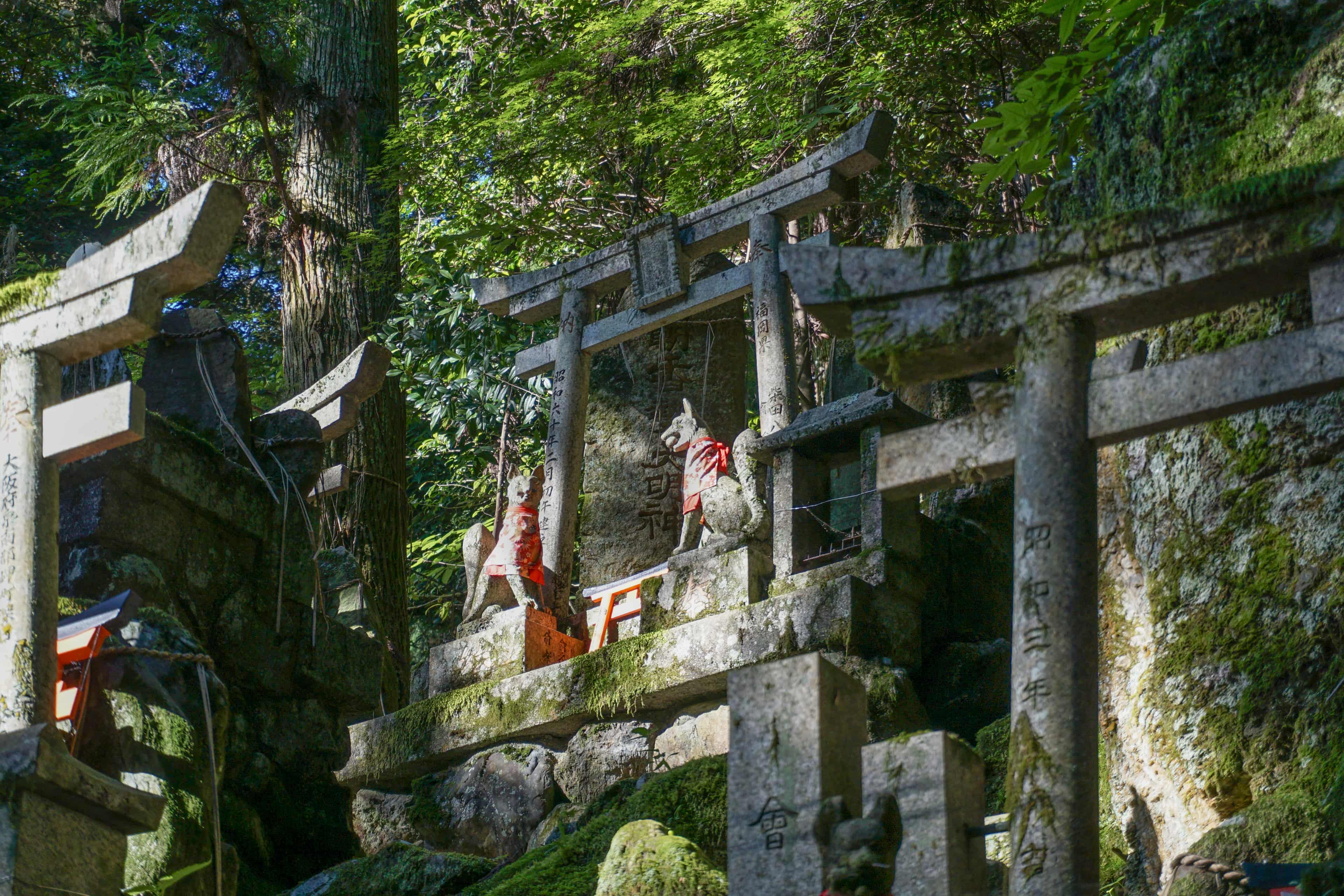 Fushimi Inari Taisha Hike photo 12