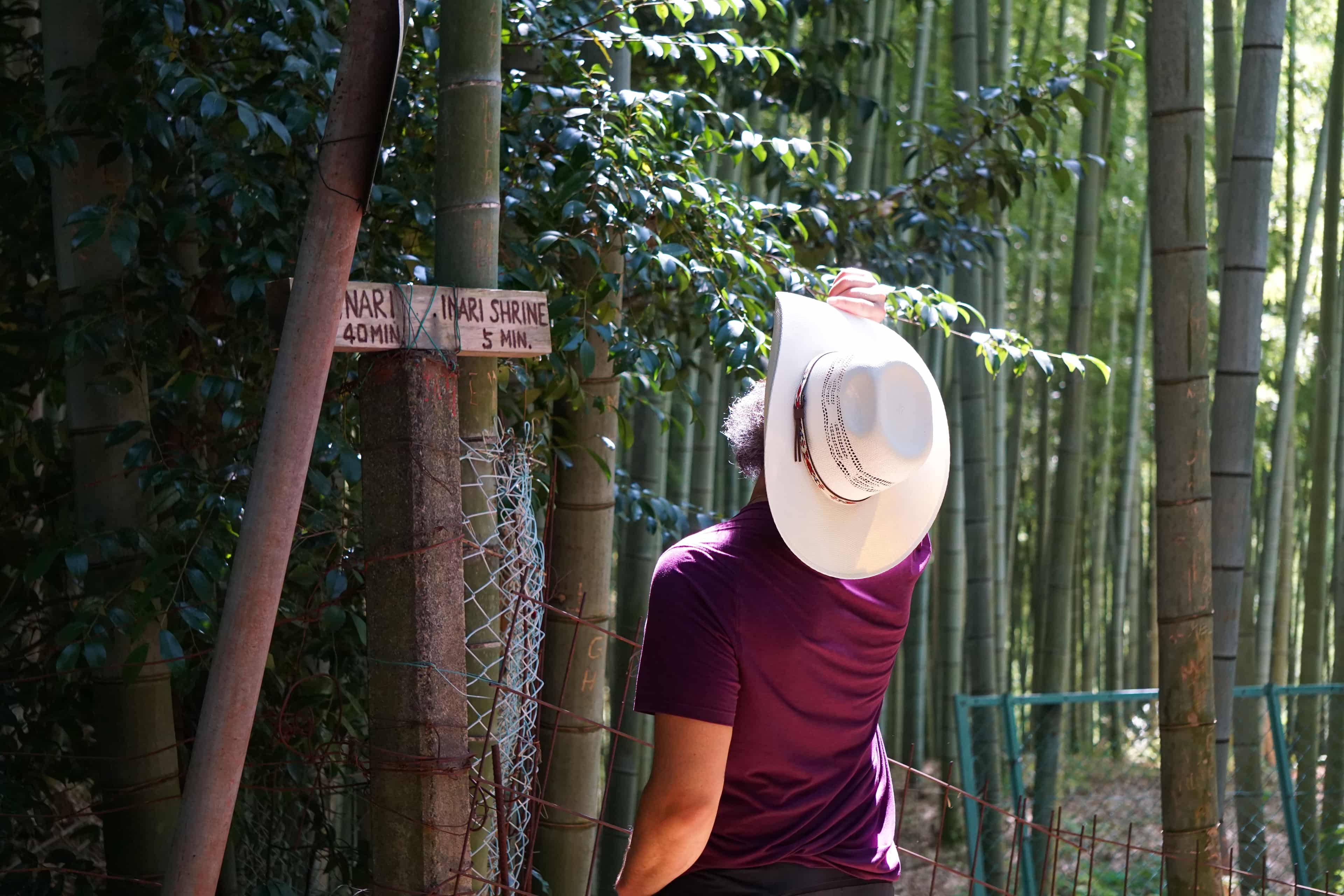 Fushimi Inari Taisha Hike photo 4
