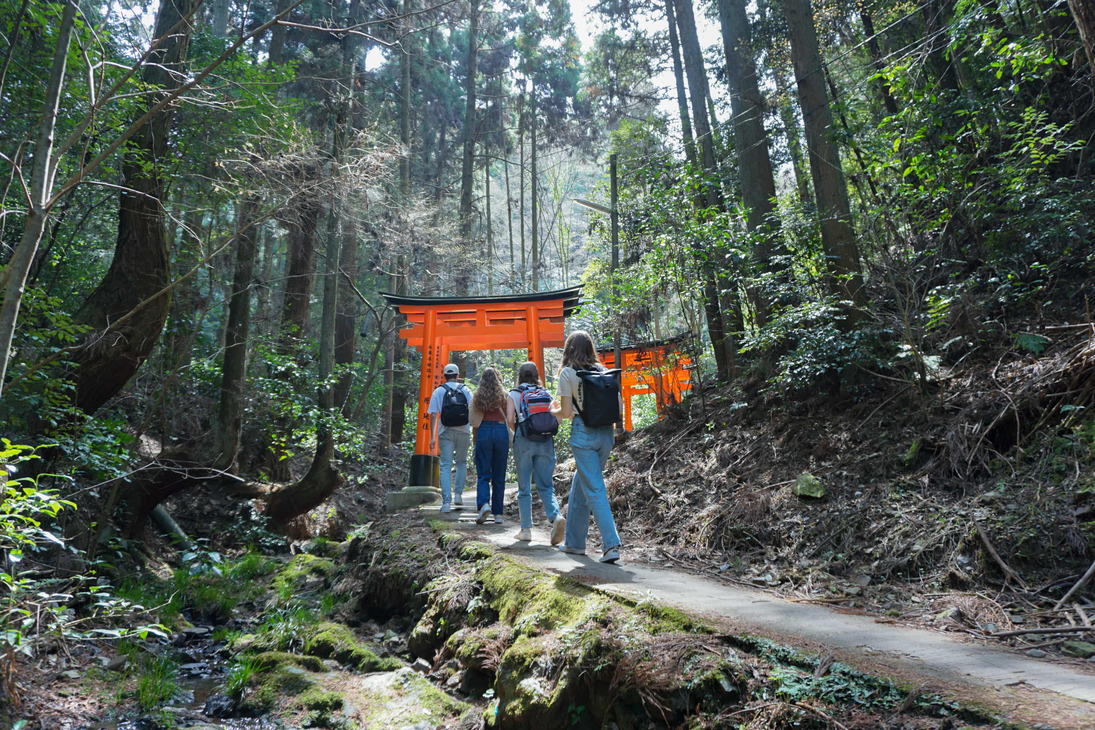 Fushimi Inari Taisha Hike photo 6