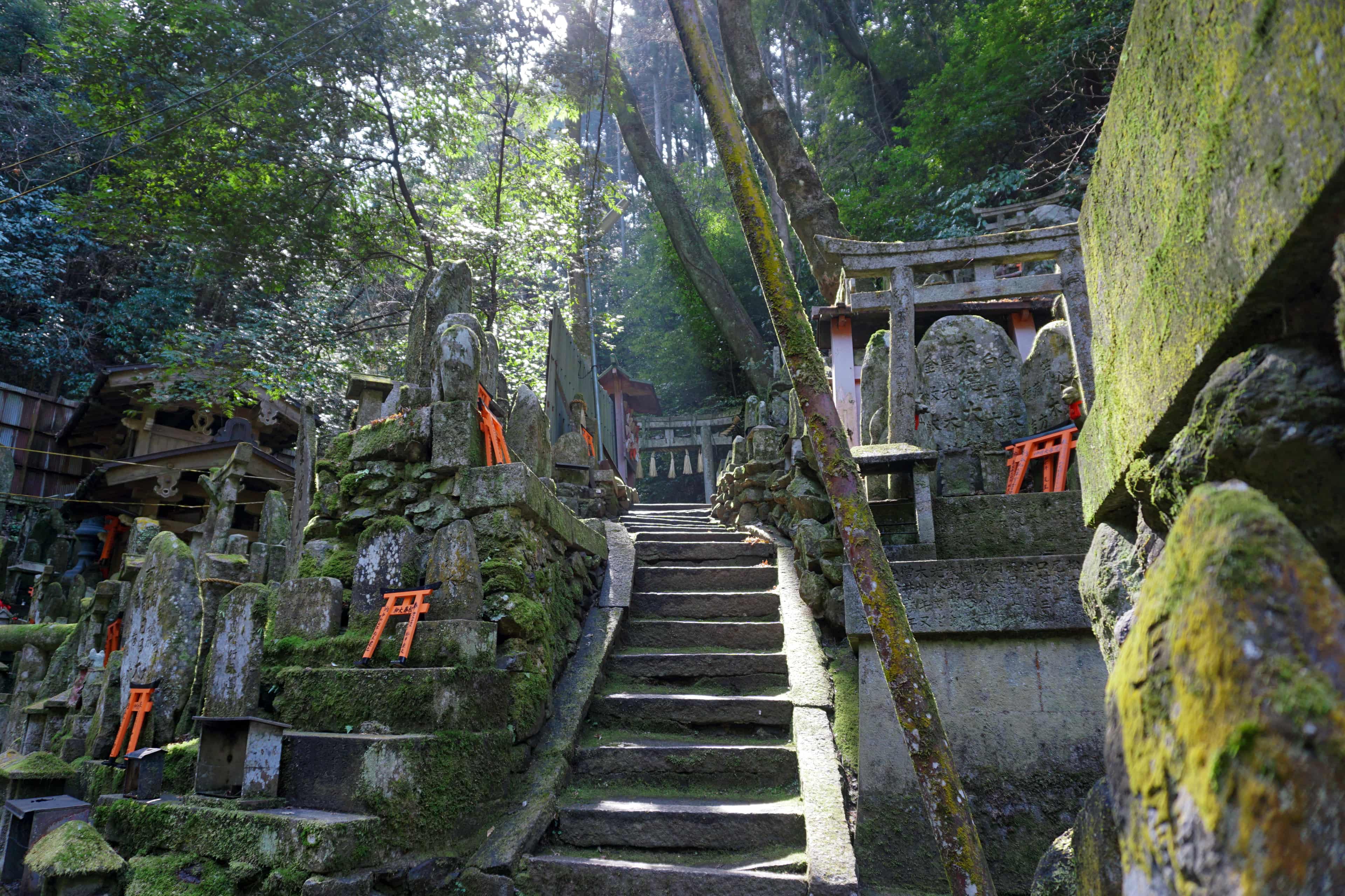 Fushimi Inari Taisha Hike photo 7