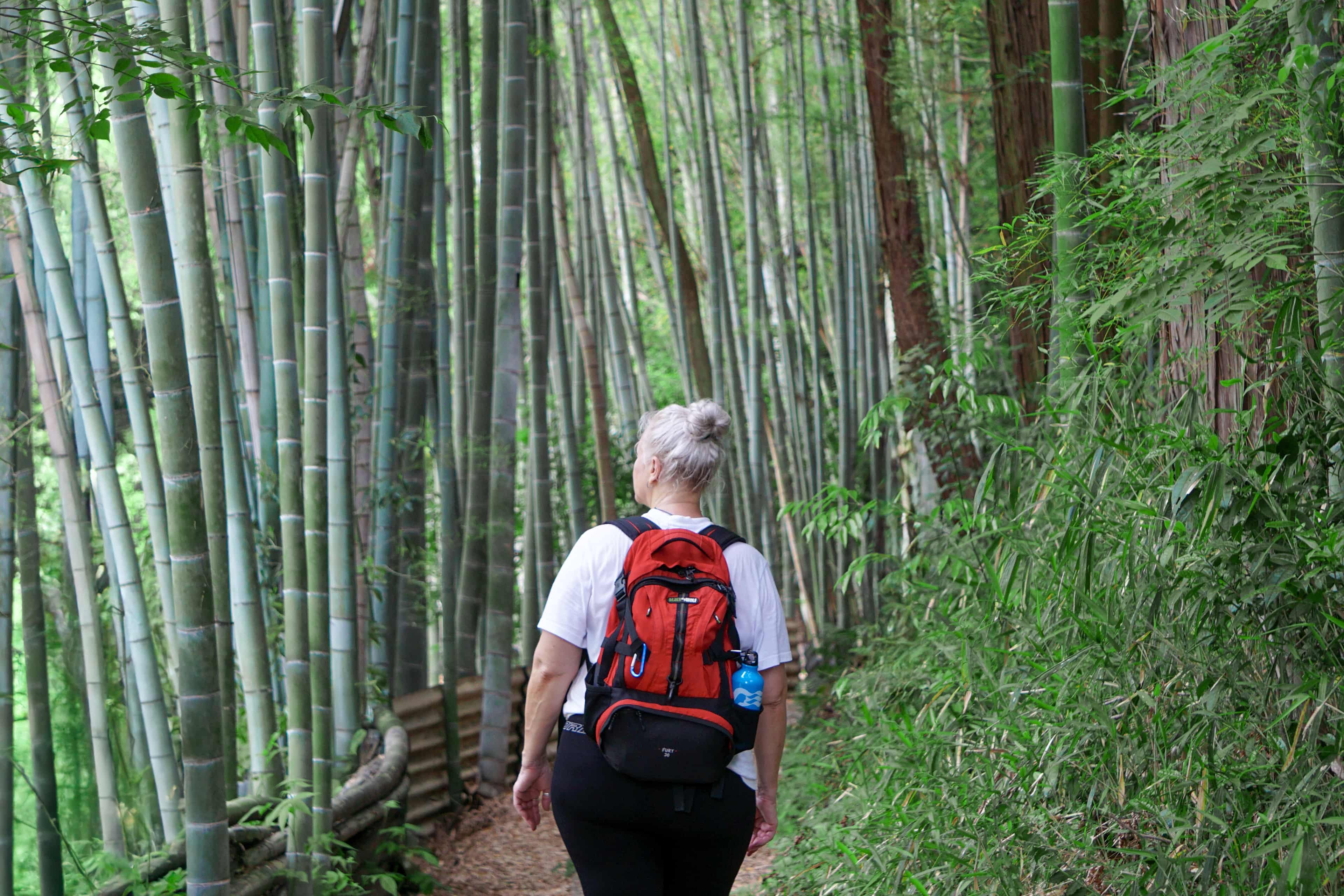 Fushimi Inari Taisha Hike photo 8