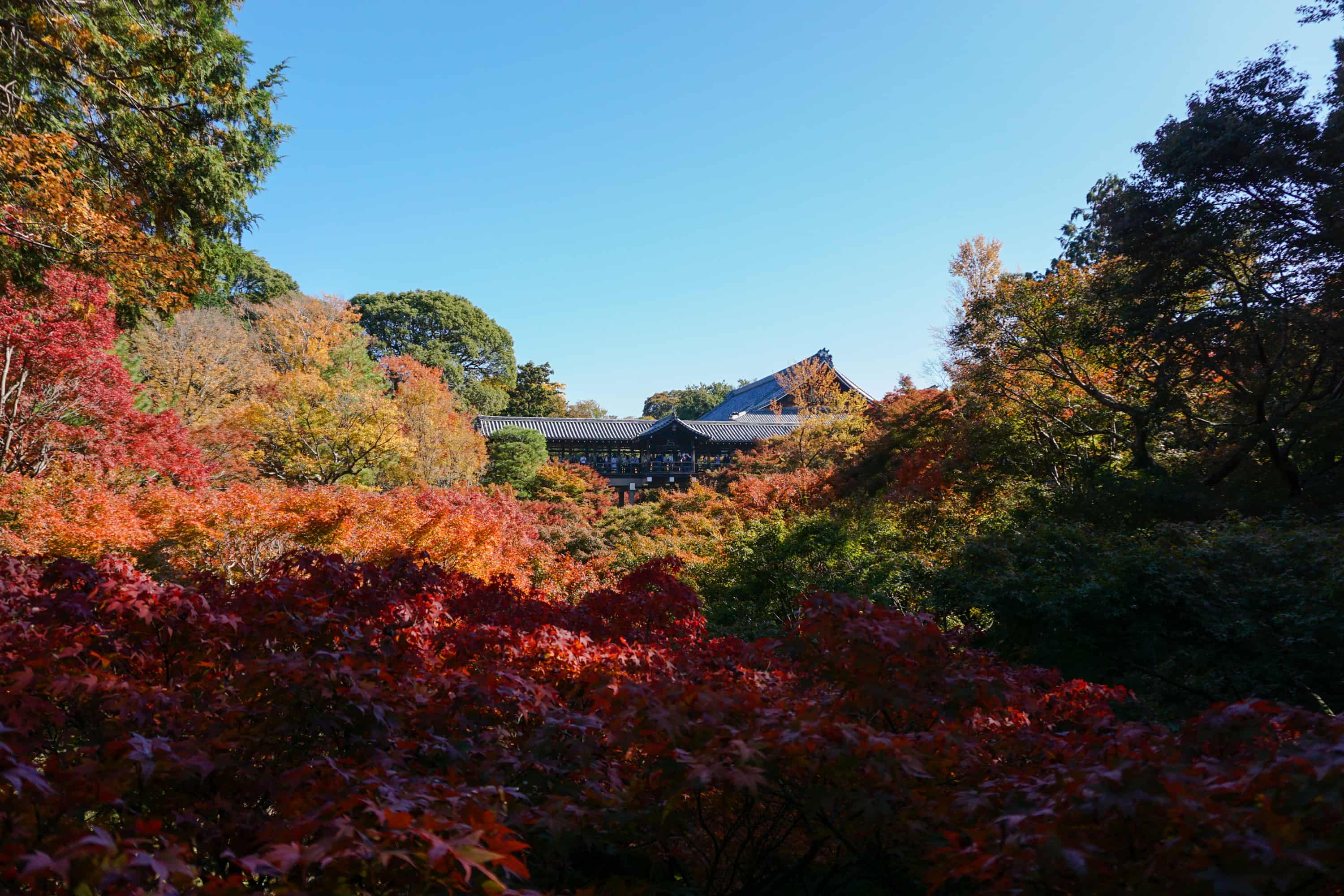 Tofuku-ji Zen Temple Walk photo 3
