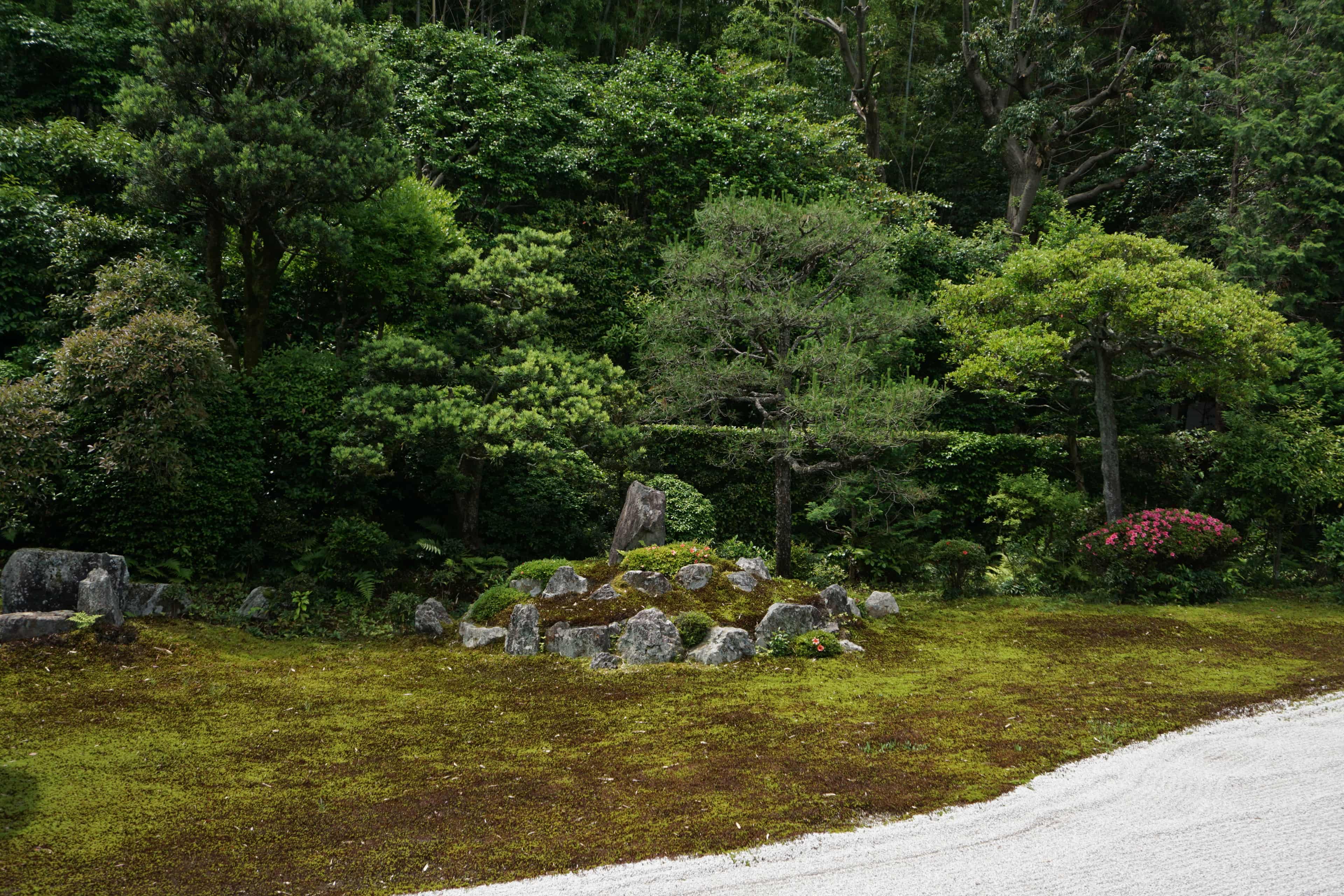 Tofuku-ji Zen Temple Walk photo 7