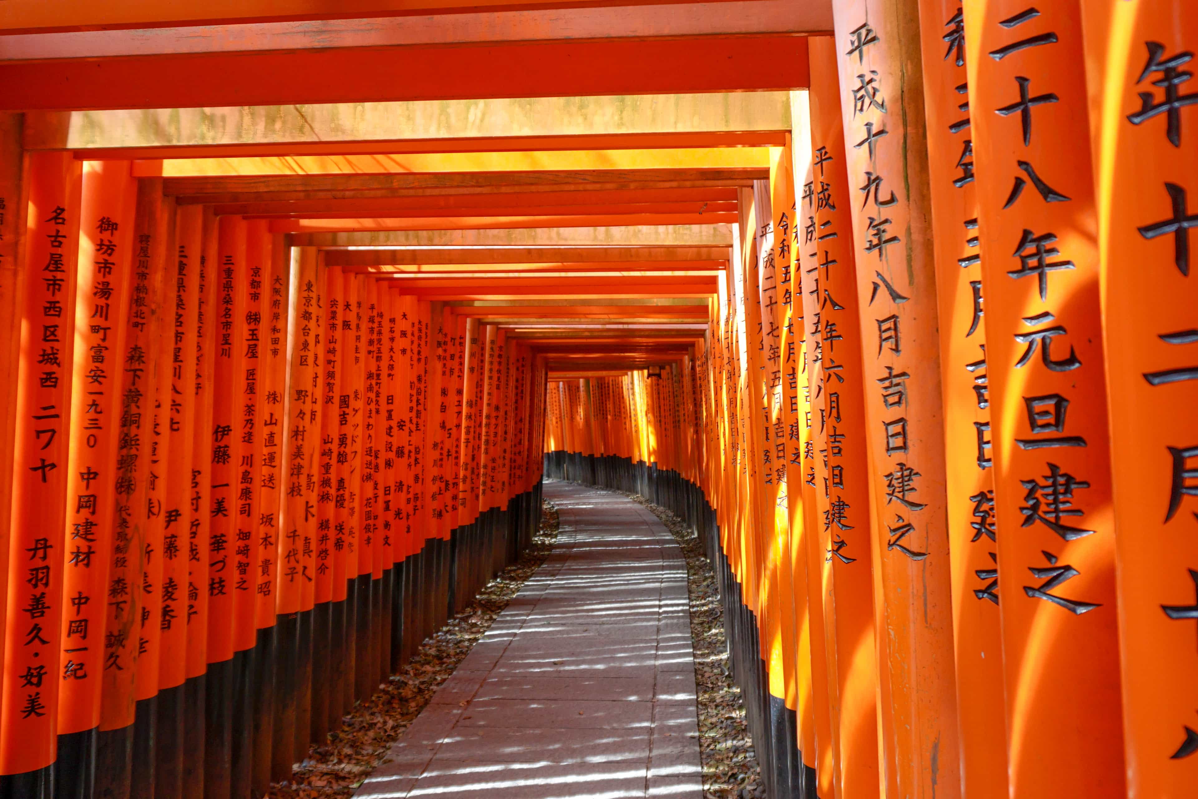 Fushimi Inari Hidden Hike Image 11