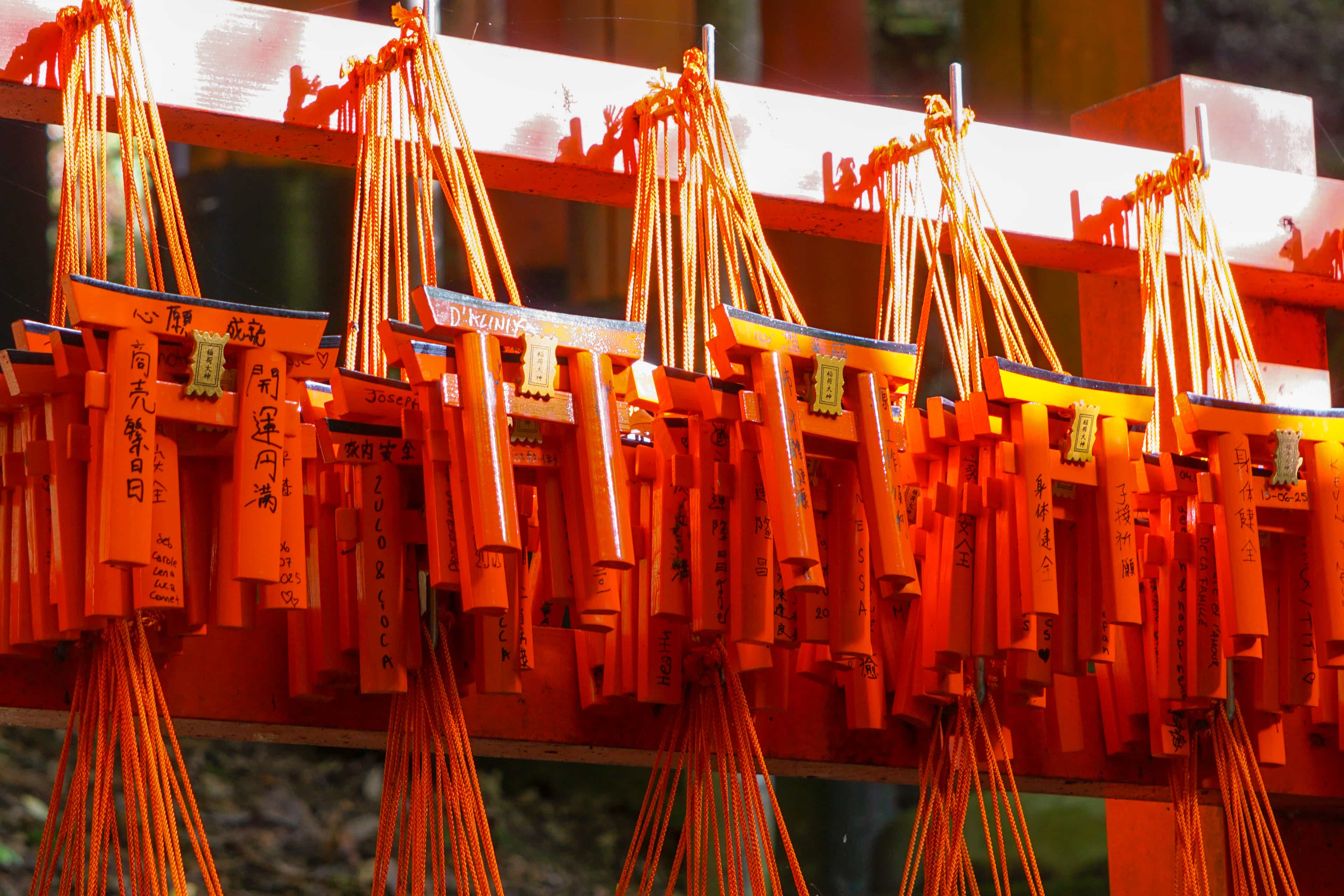 Fushimi Inari Hidden Hike Image 12