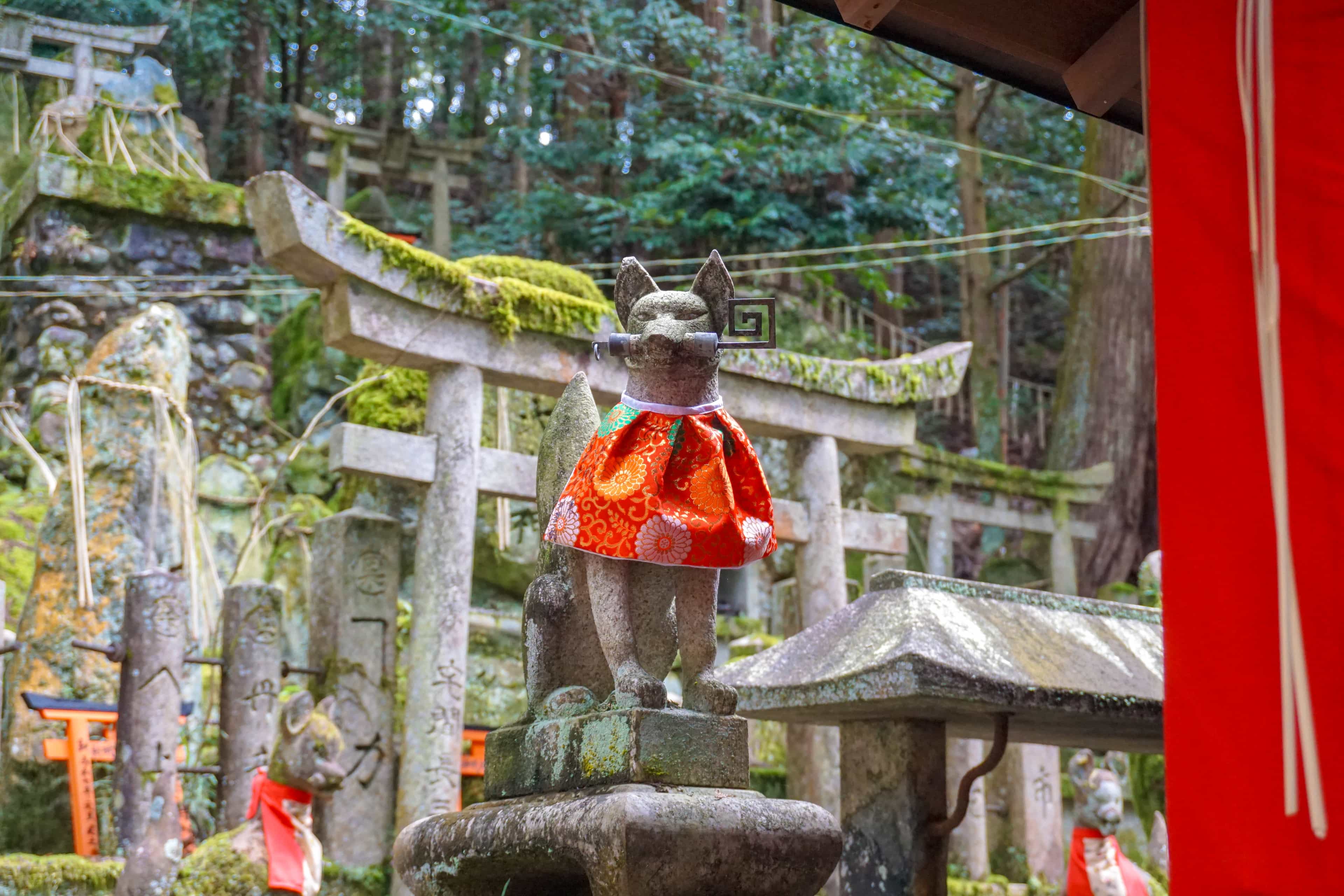 Fushimi Inari Hidden Hike Image 5