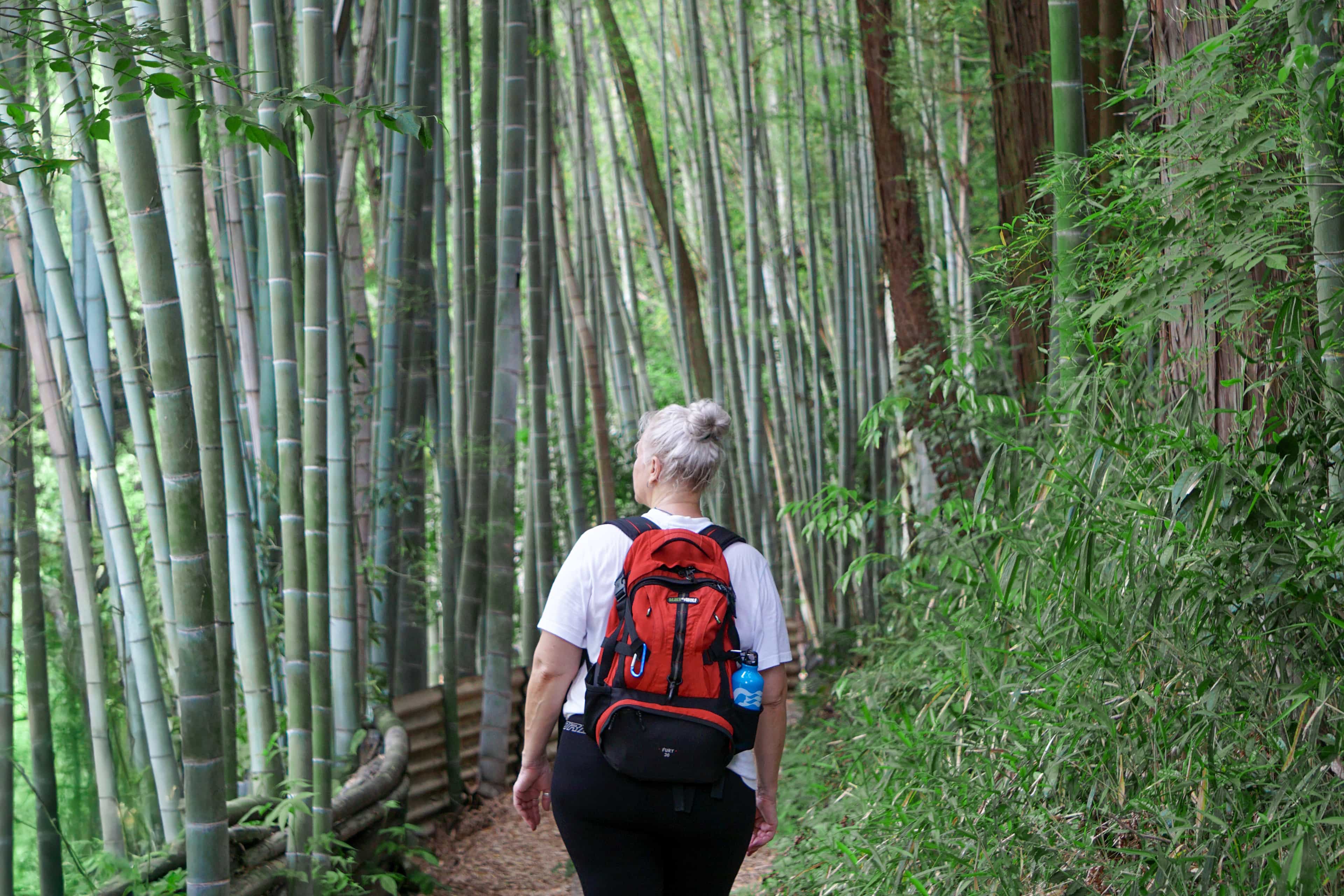 Fushimi Inari Hidden Hike Image 8