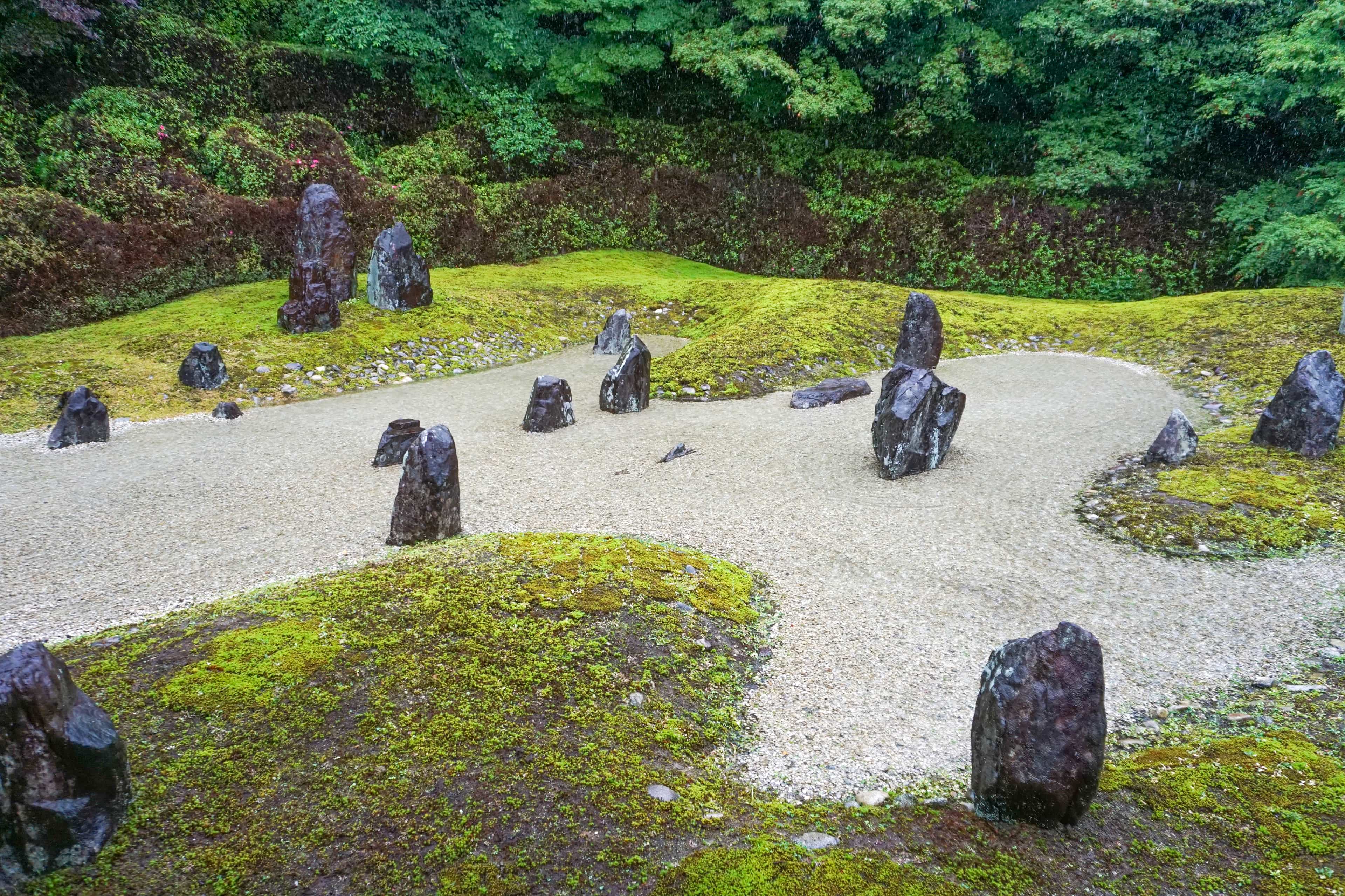 Zen Garden Deep Walk Image 13