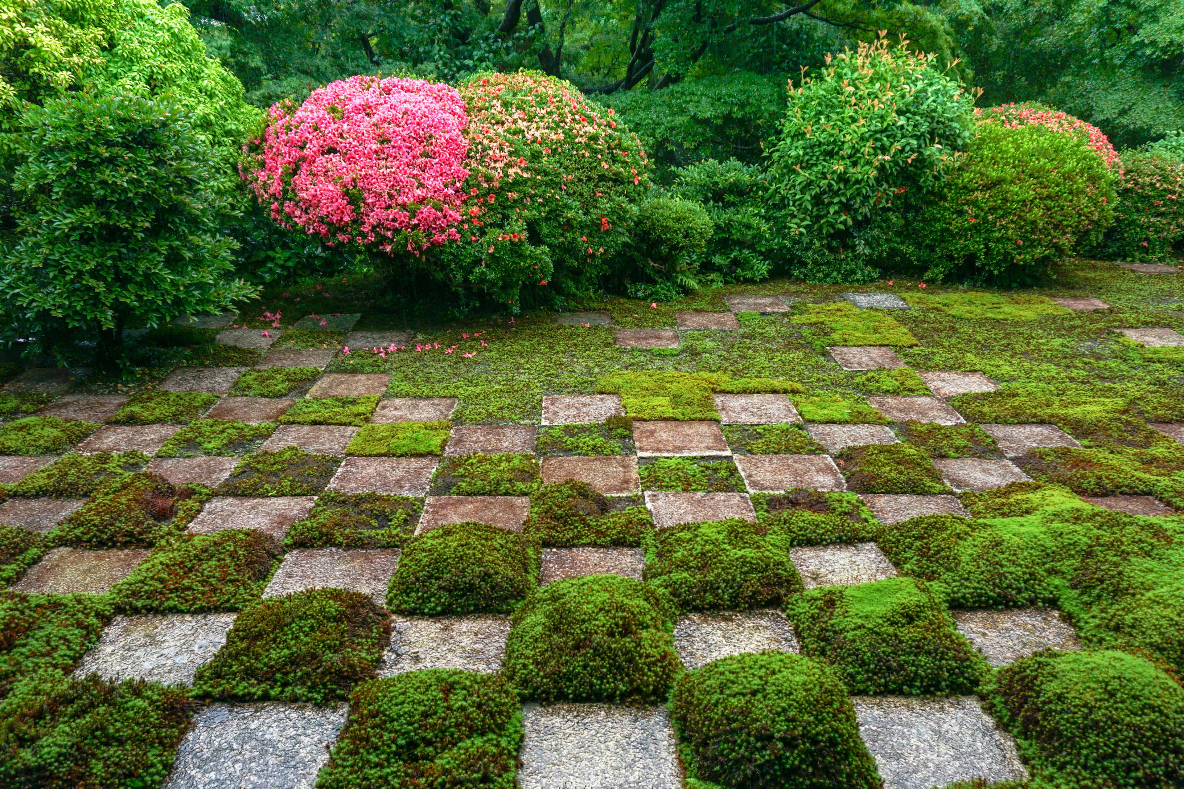 Zen Garden Deep Walk Image 15