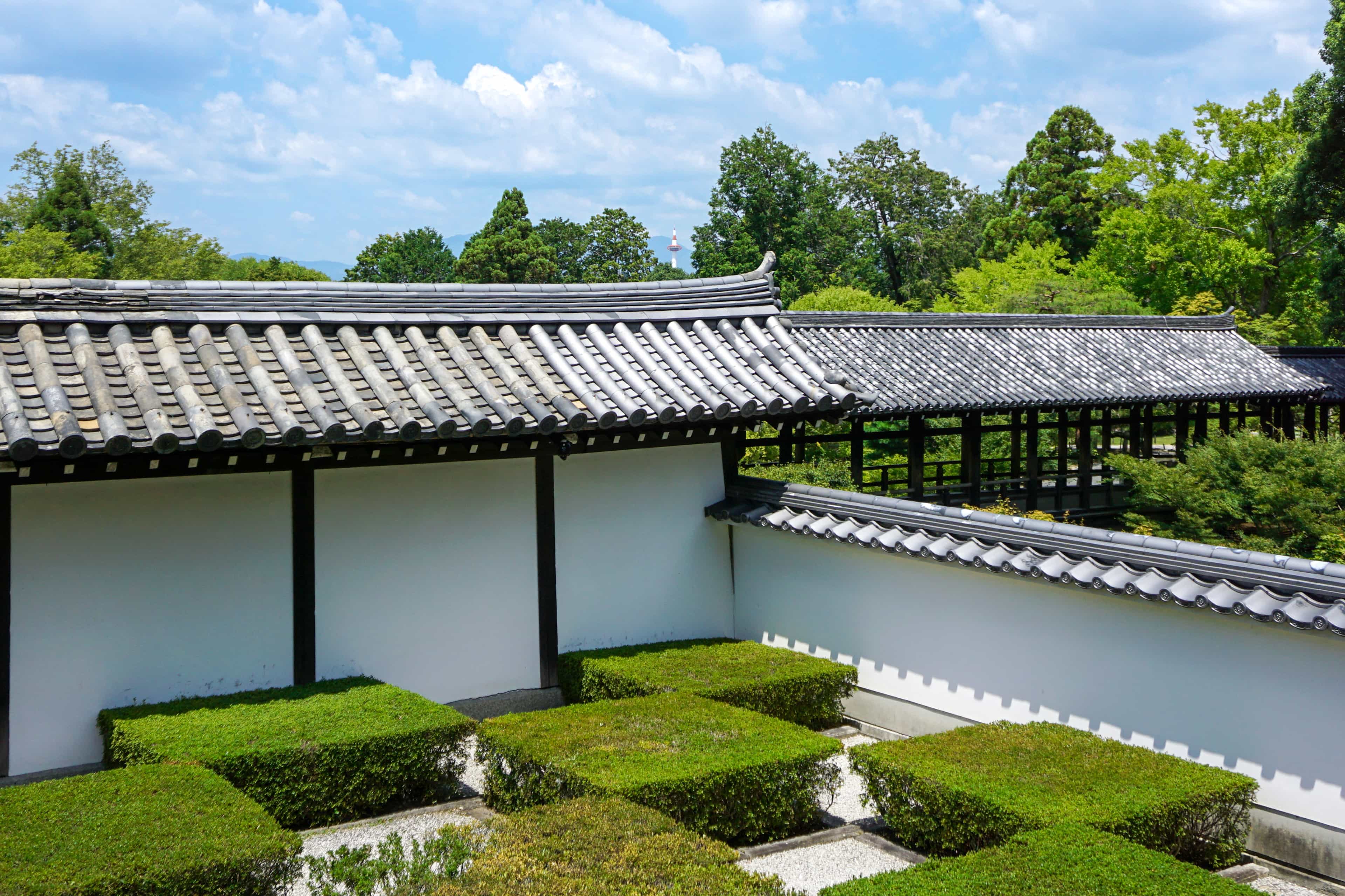 Zen Garden Deep Walk Image 5