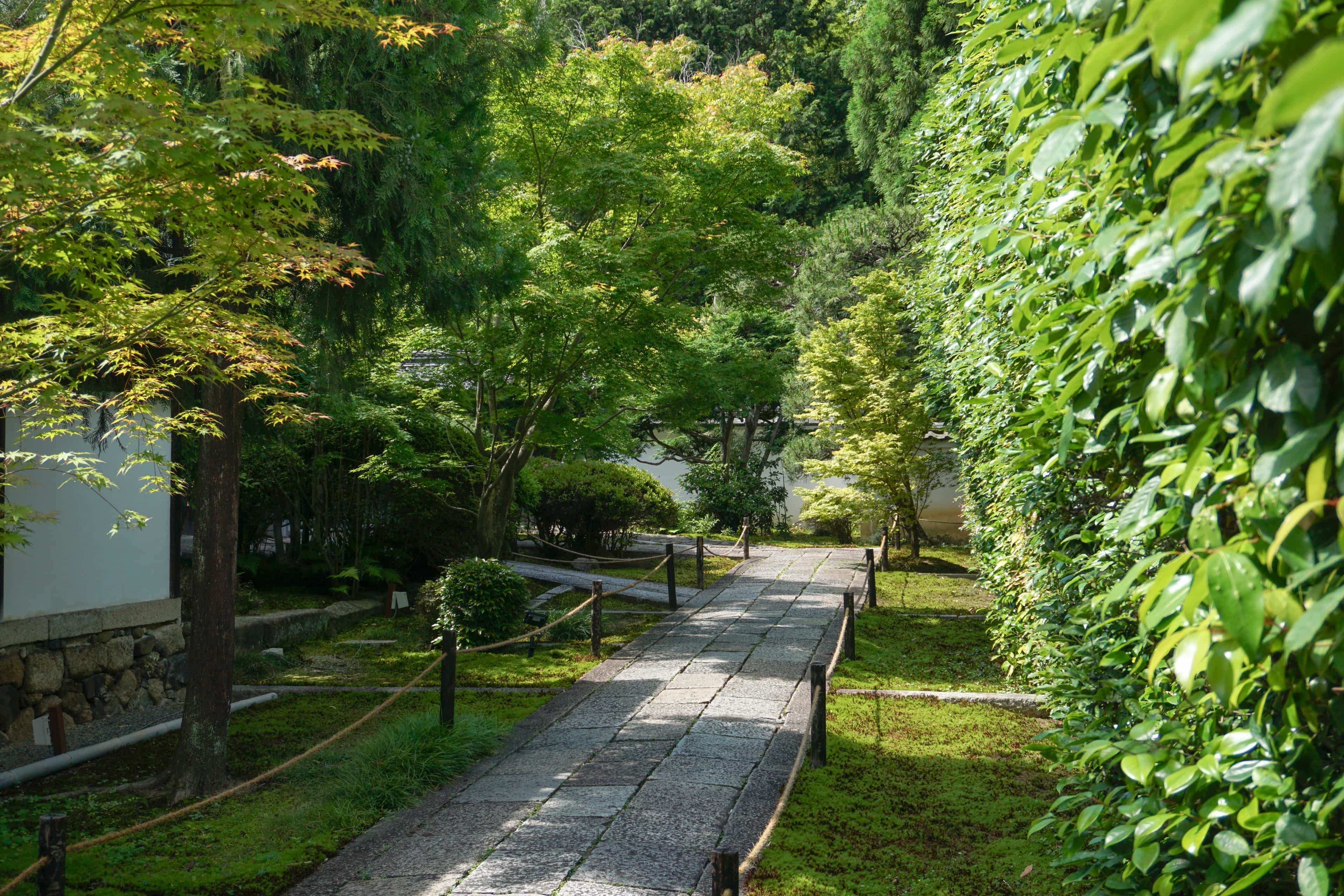 Zen Garden Deep Walk Image 6