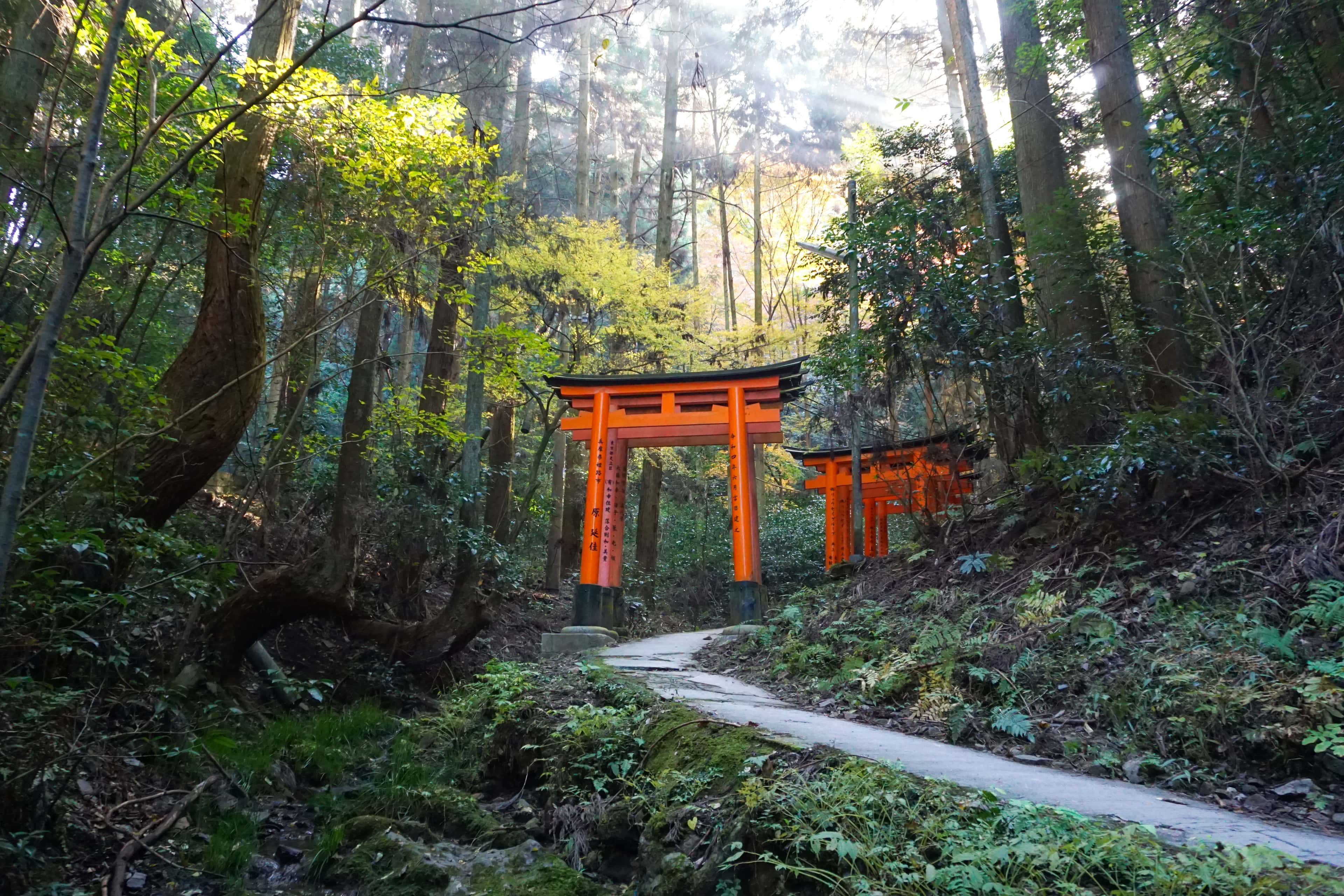 Fushimi Inari Hidden Hike Image
