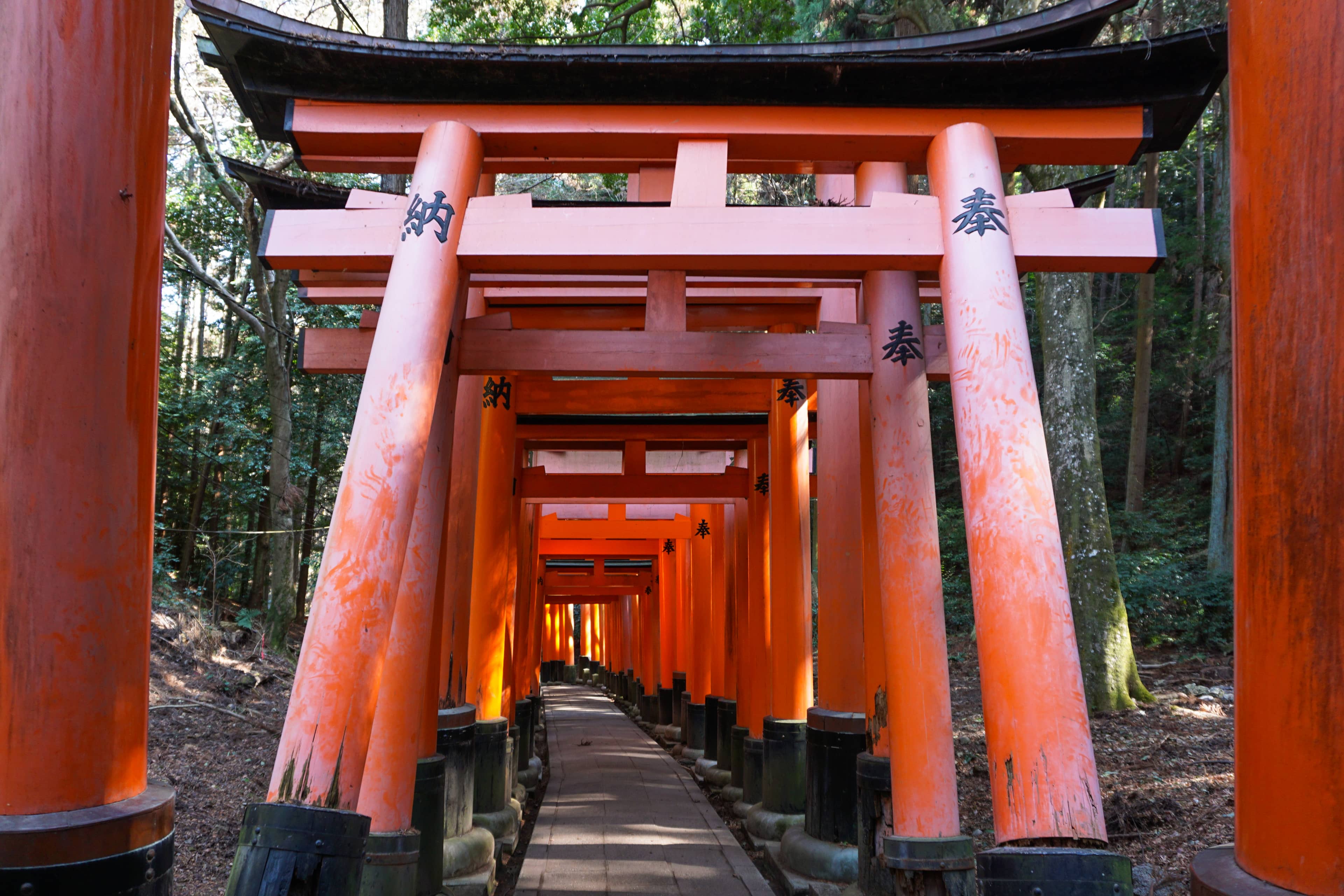 Fushimi Inari Taisha Hike itinerary step 3