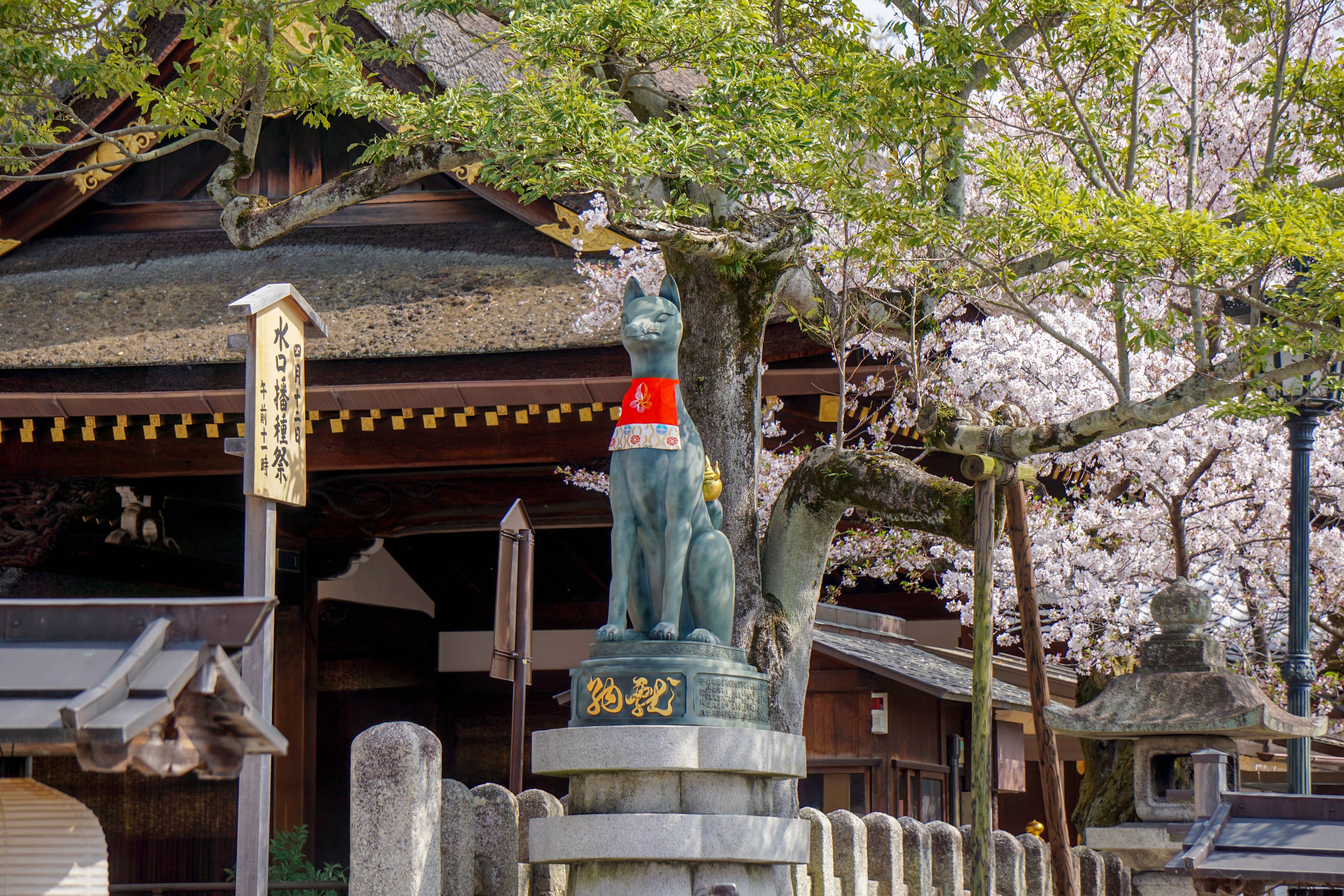 Fushimi Inari Taisha Hike itinerary step 4