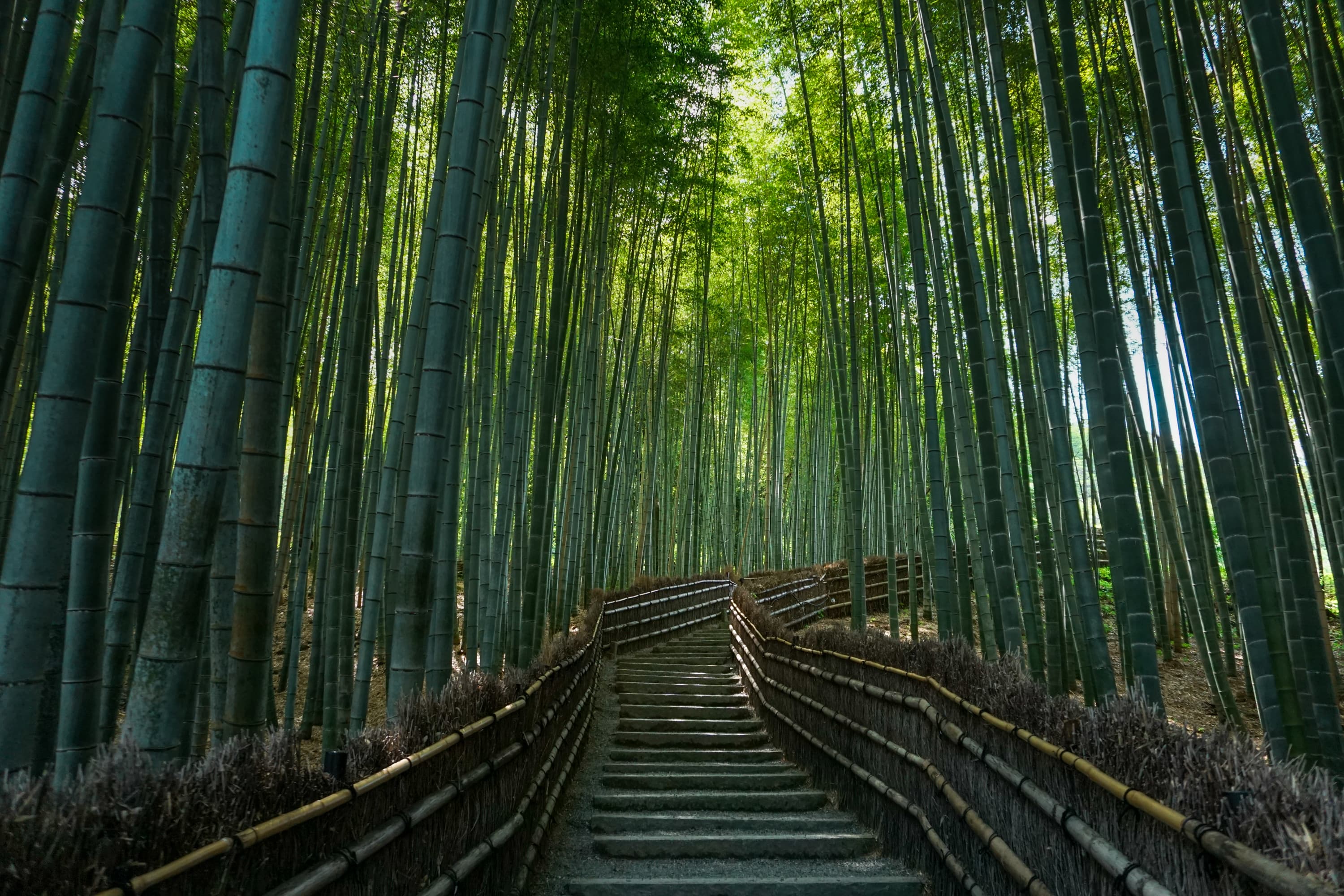 Arashiyama Area - Western Kyoto with bamboo groves and moss gardens