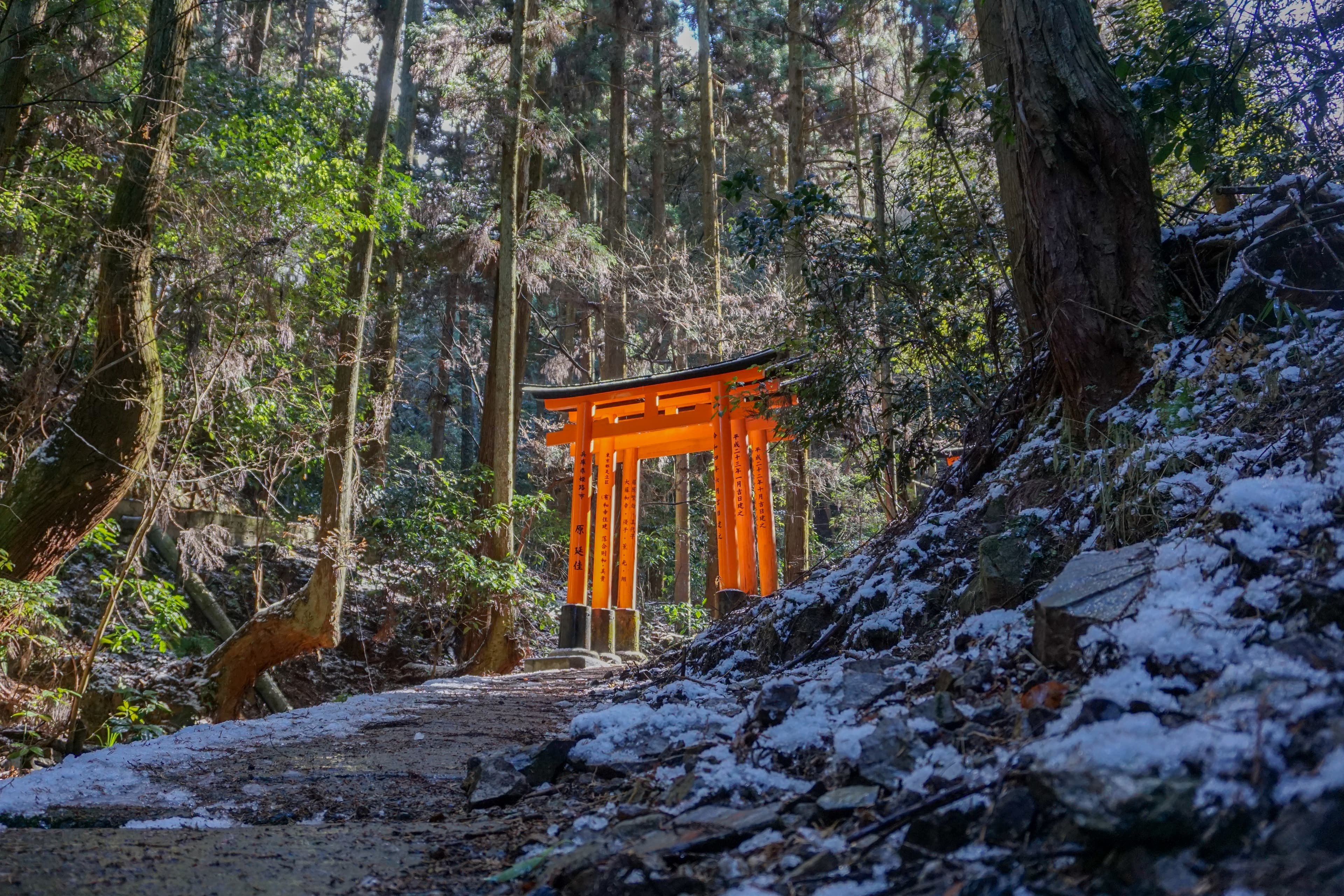Fushimi Inari Taisha Hike photo 1