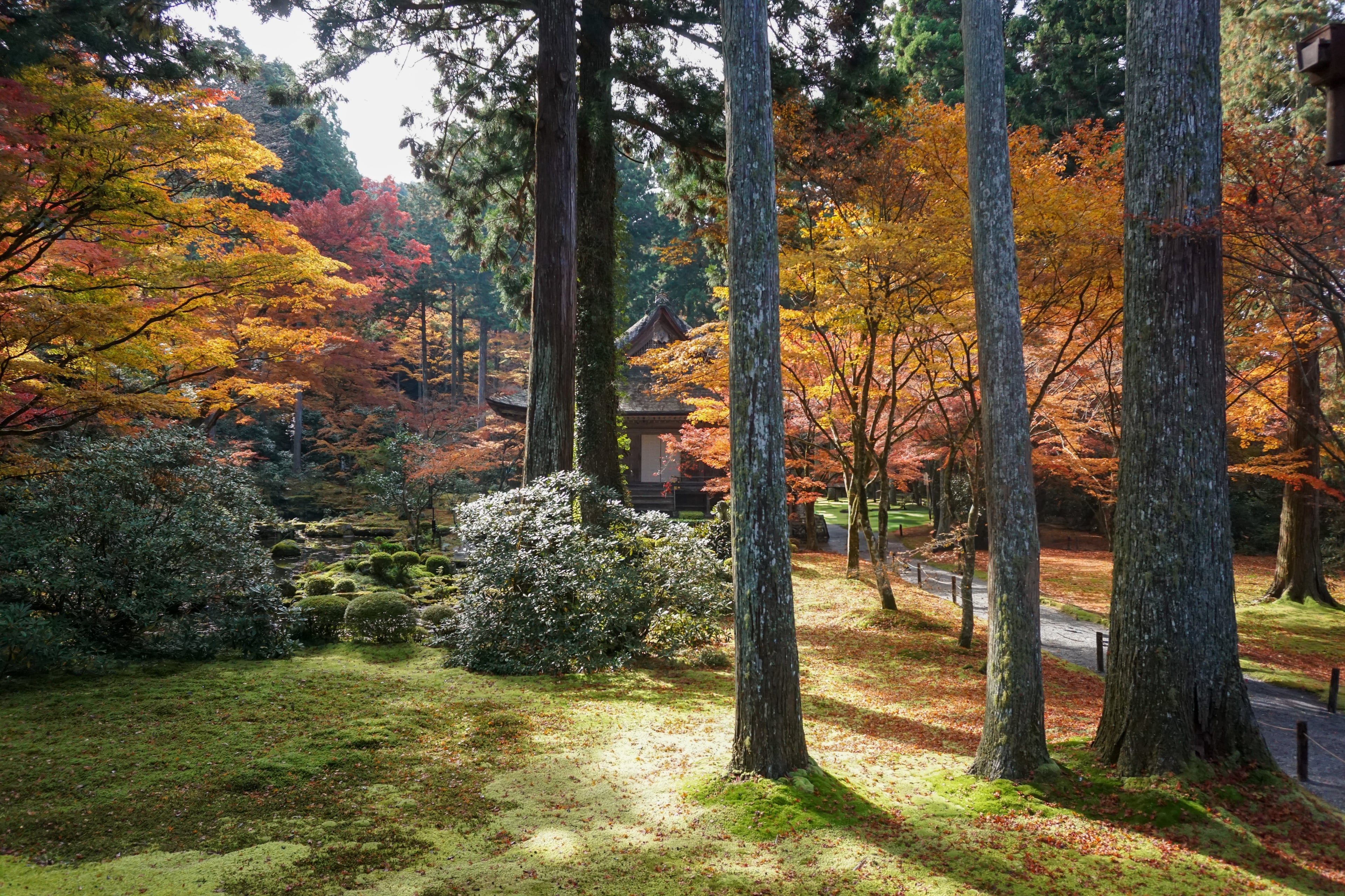 Northern Kyoto Full Day