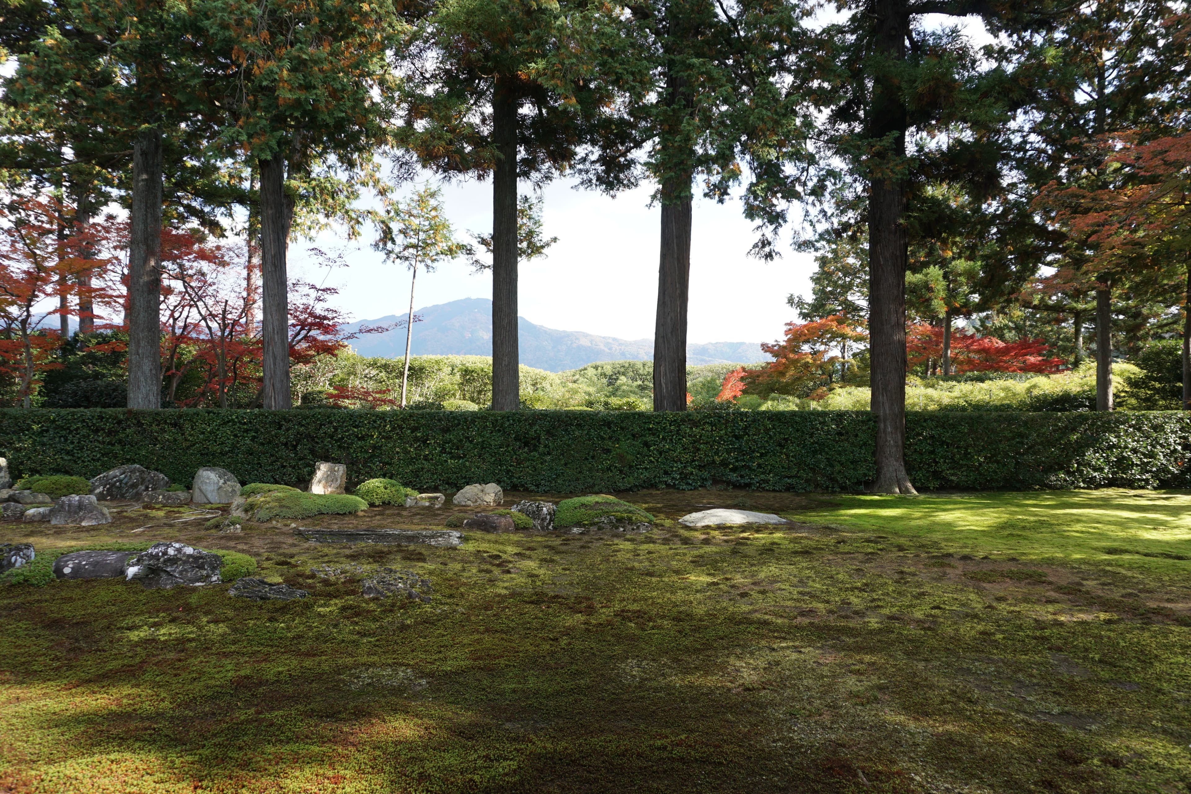 Kyoto cultural experience