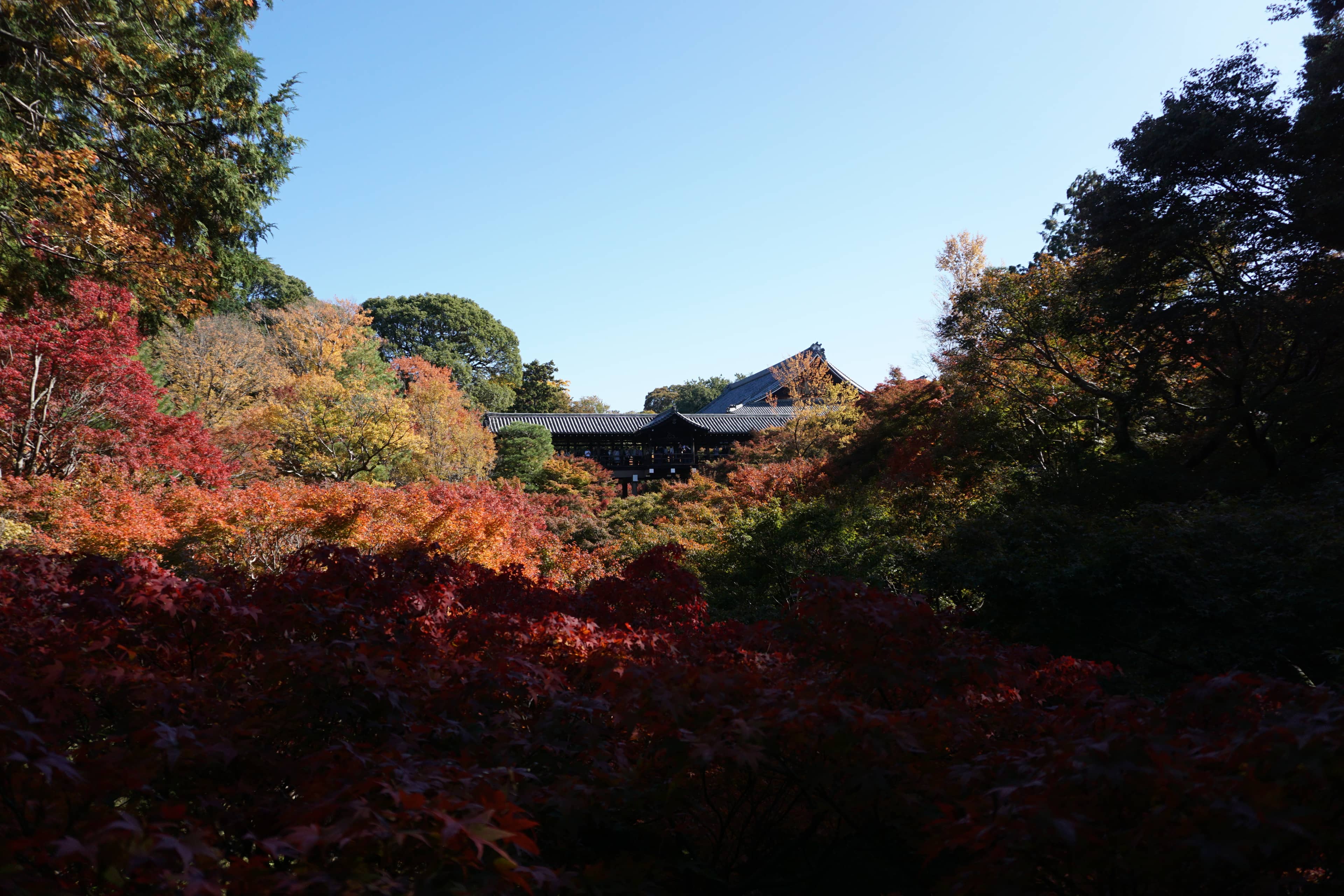 Southern Kyoto itinerary step 1