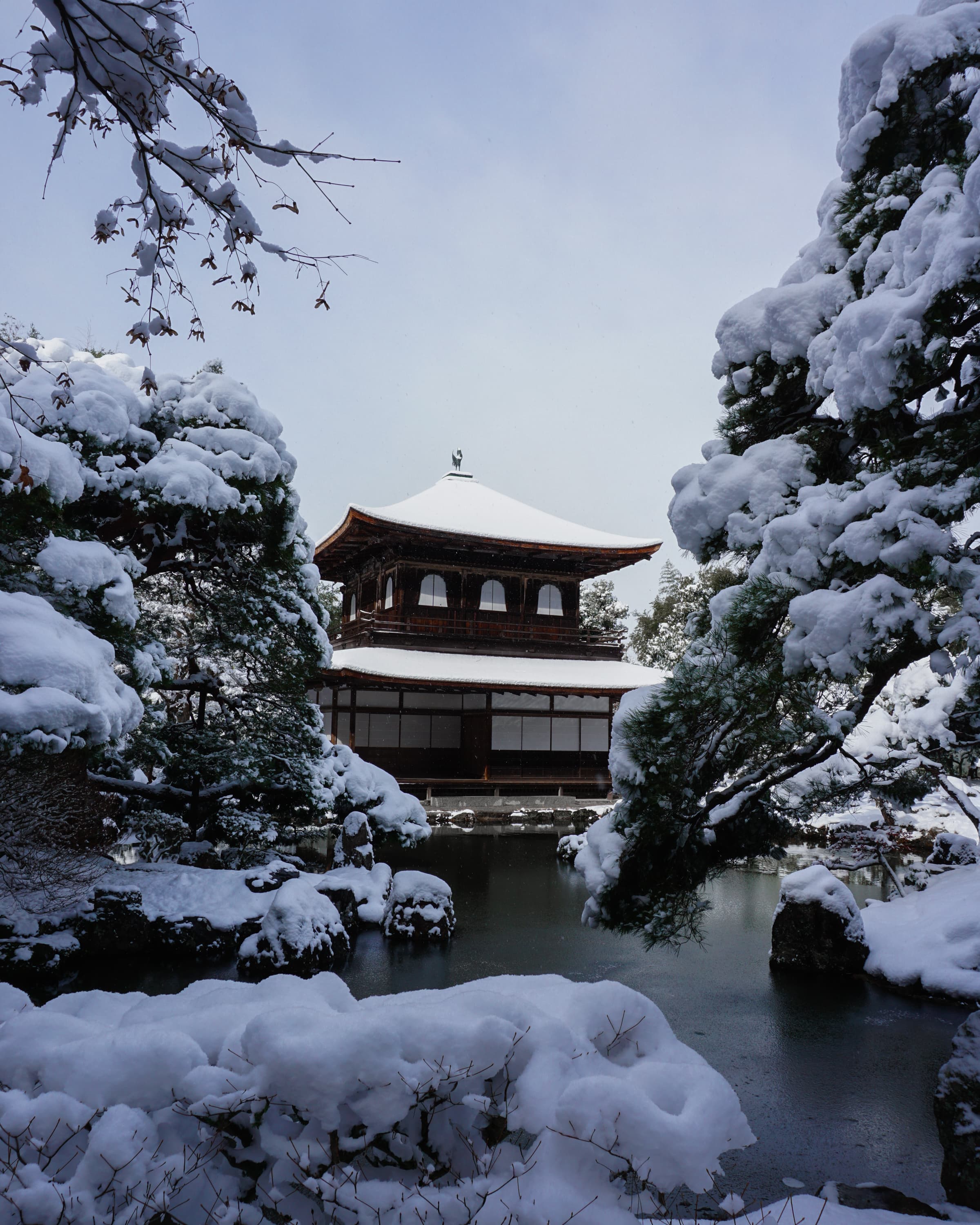 Kyoto cultural experience