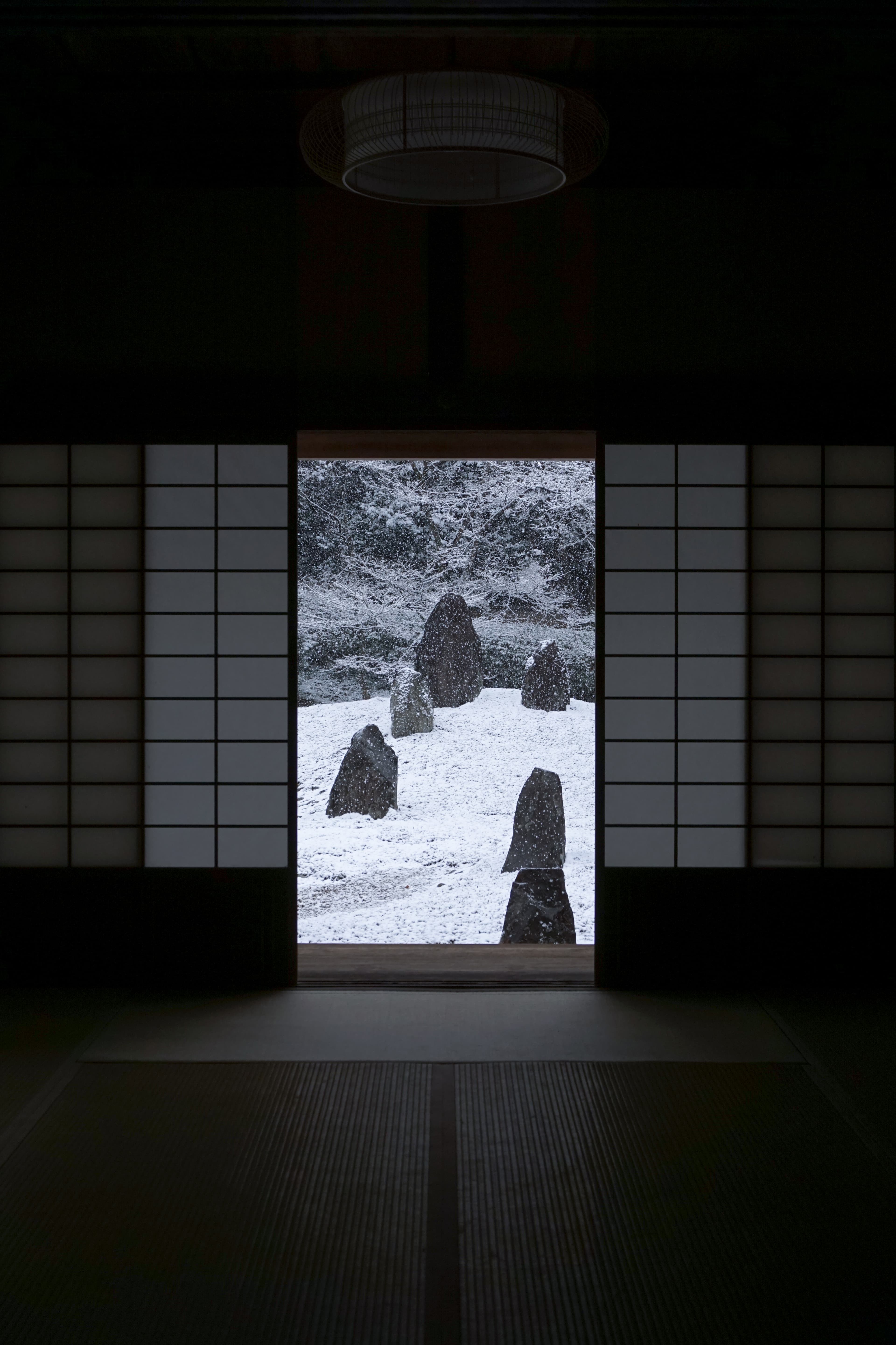 Kyoto cultural experience