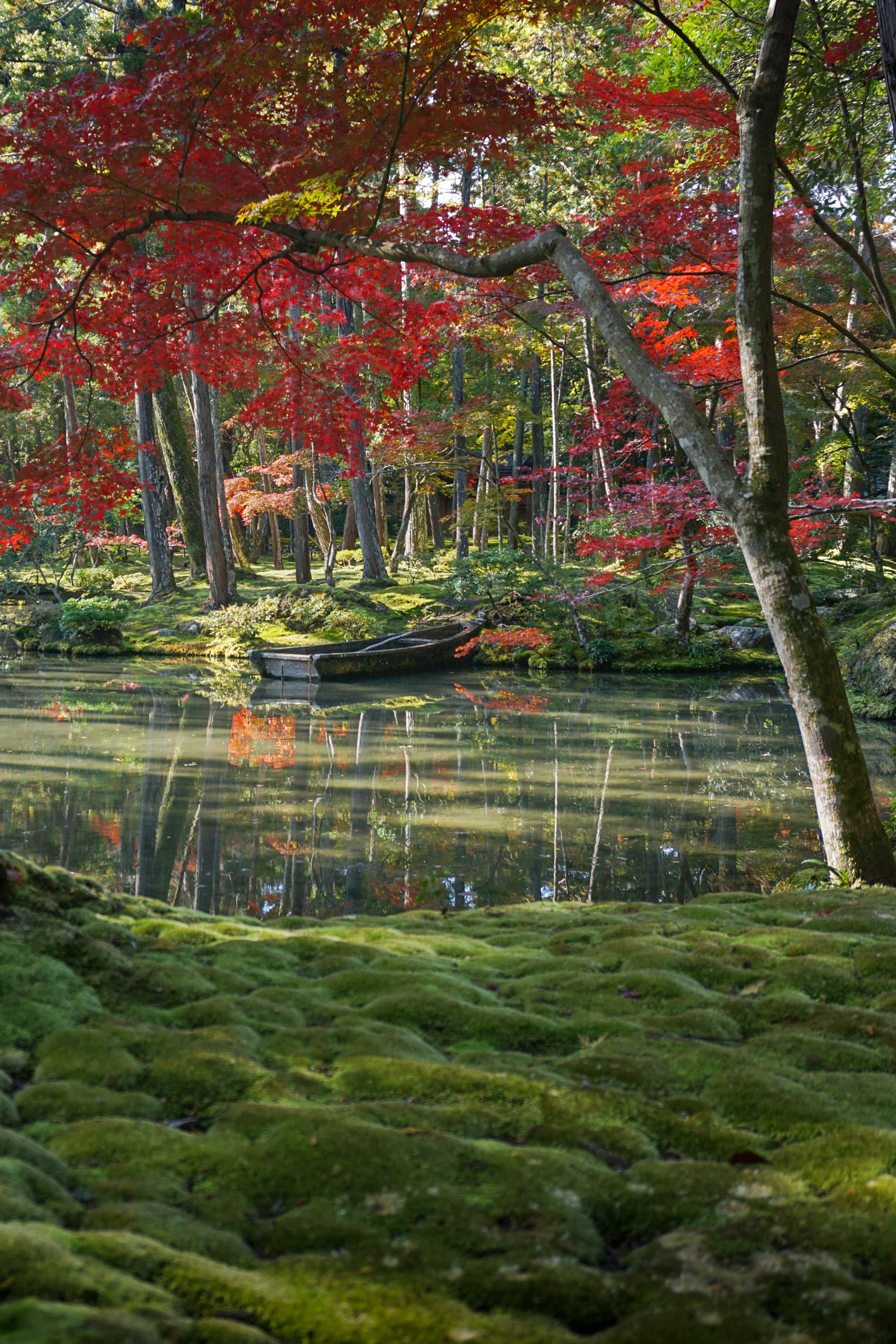 Kyoto cultural experience