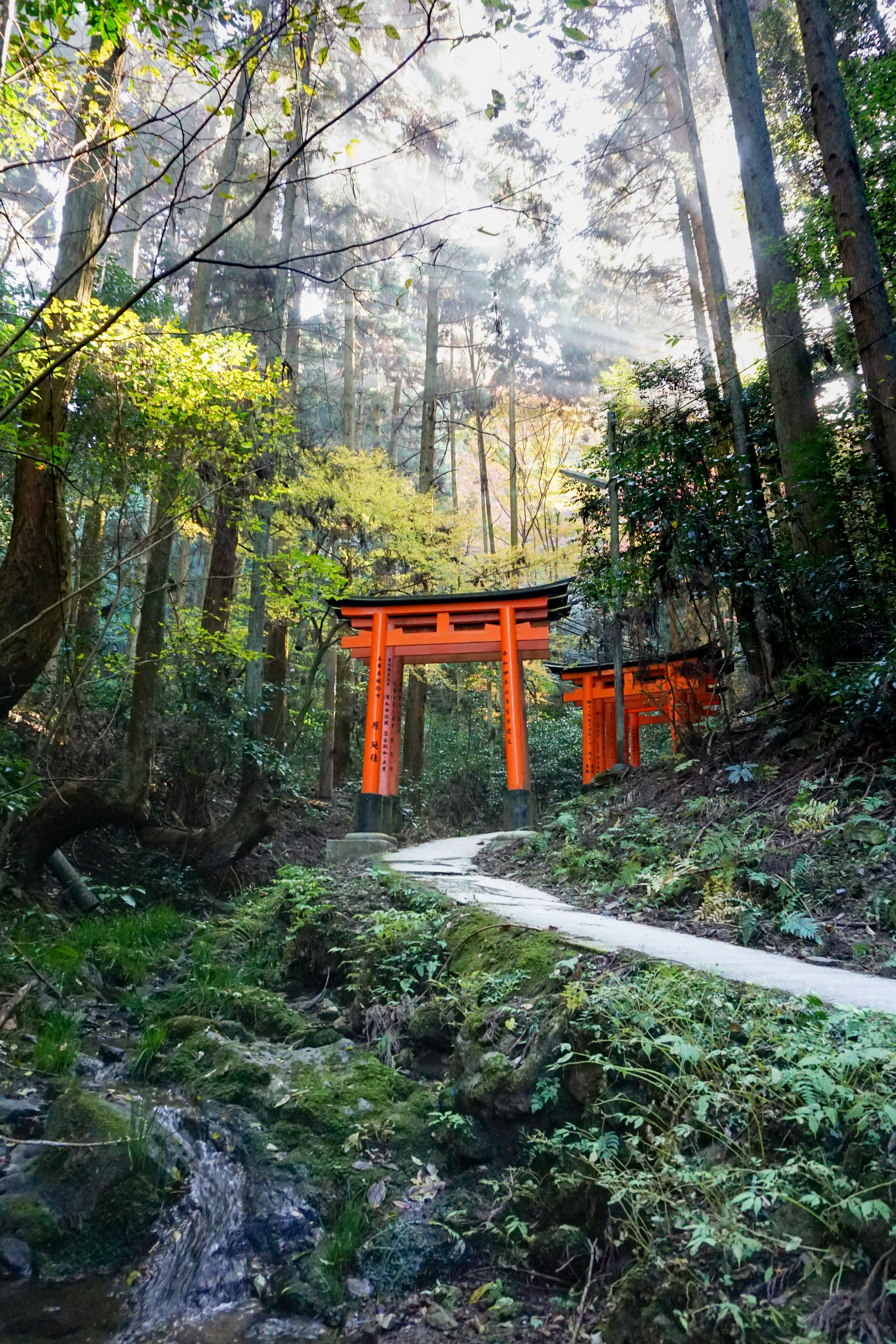 Fushimi Inari Hidden Hike