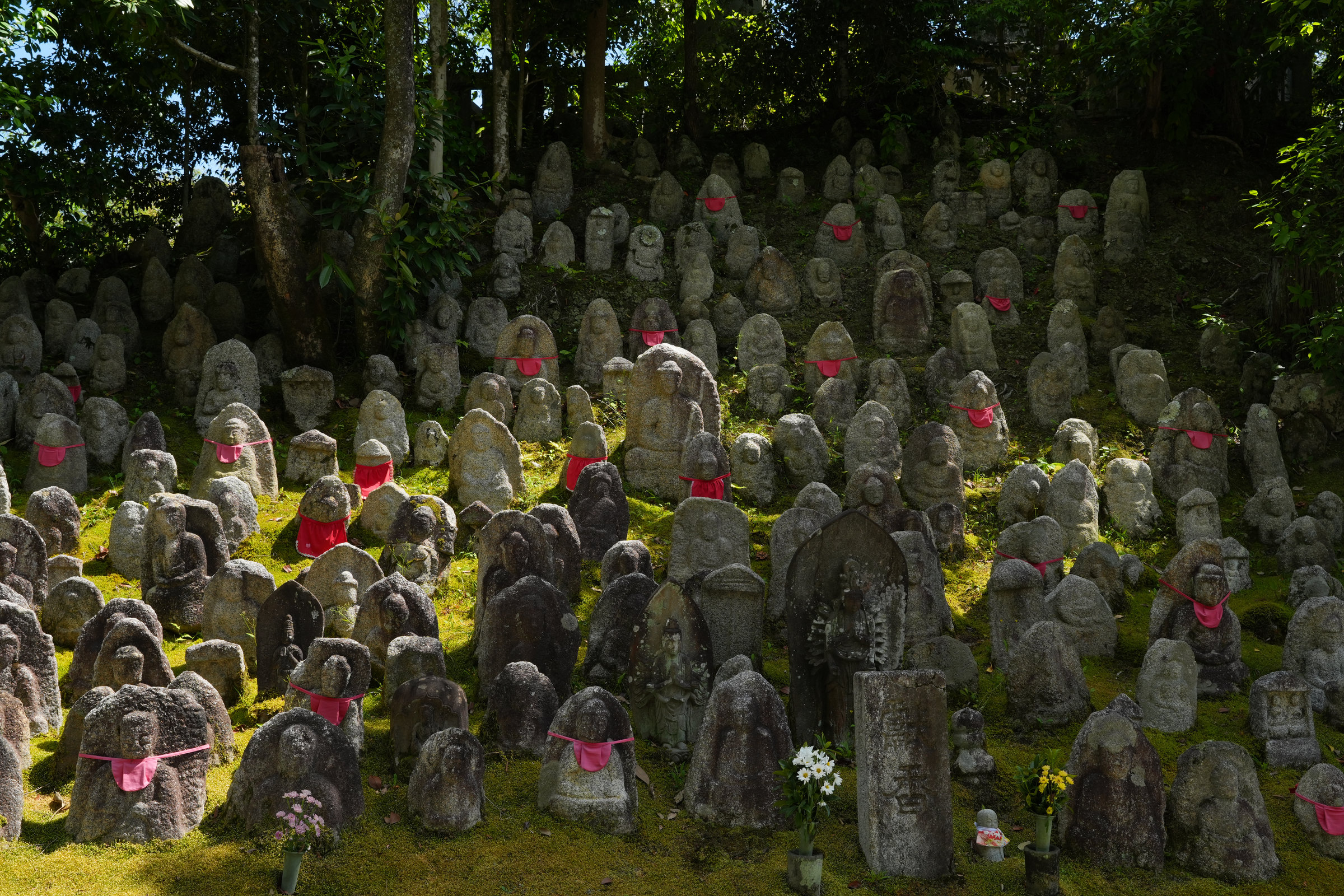Rows of small stone figures in a shaded grove