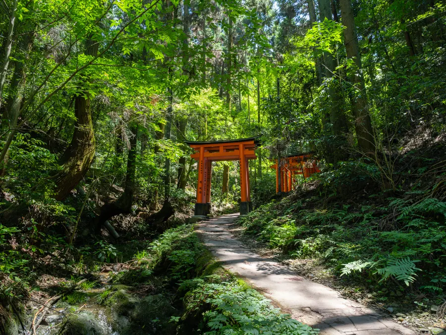 Fushimi Inari Hidden Hike