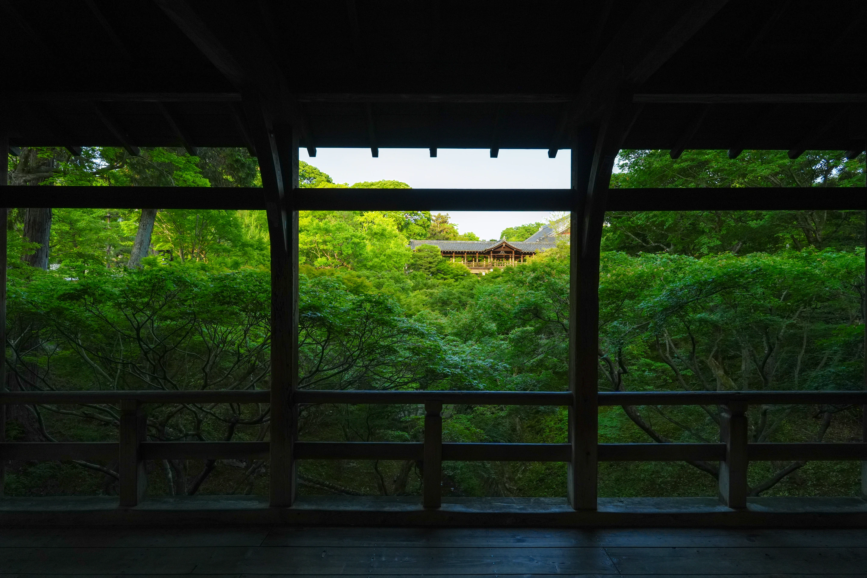 Kyoto temple garden landscape