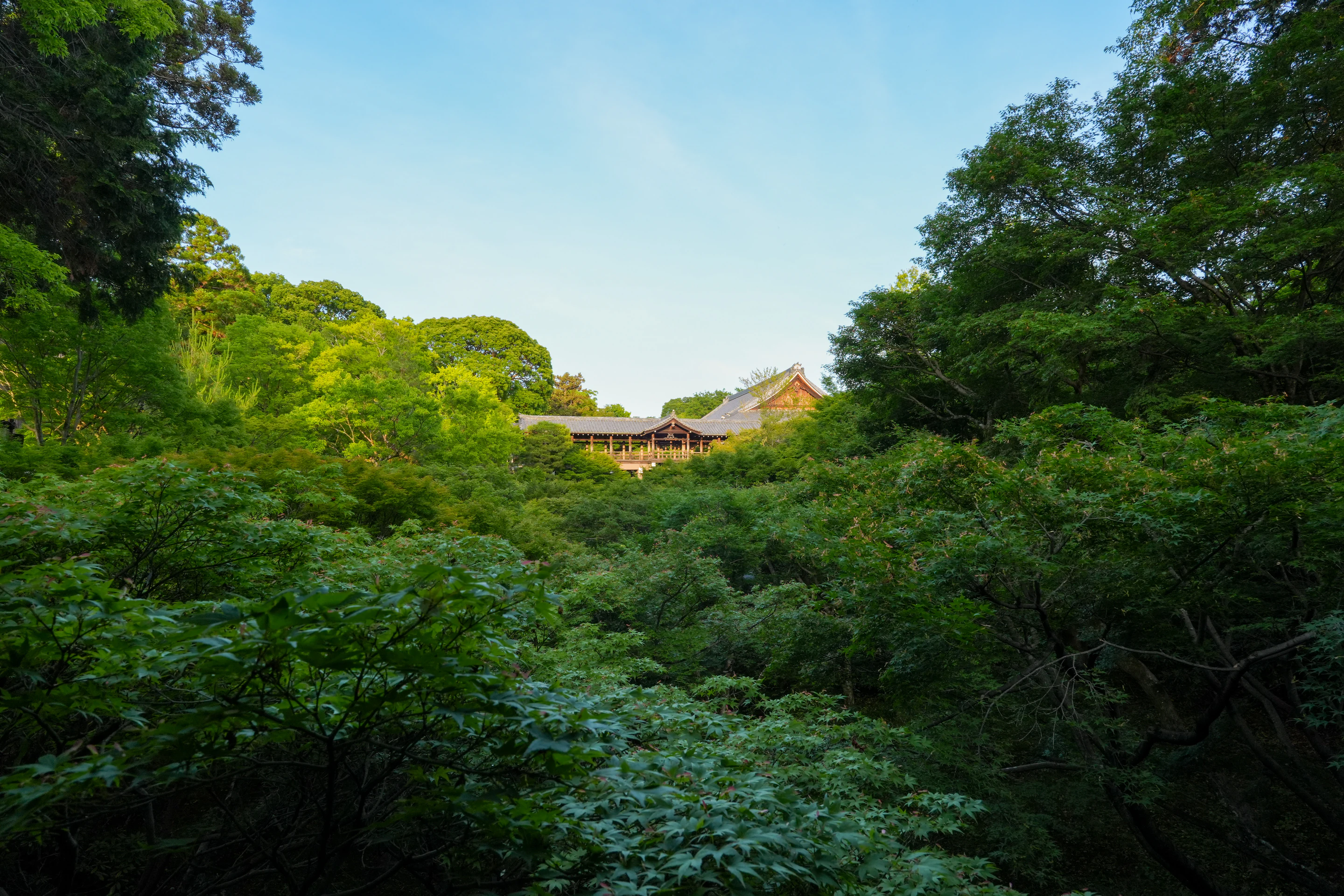 Kyoto temple garden landscape