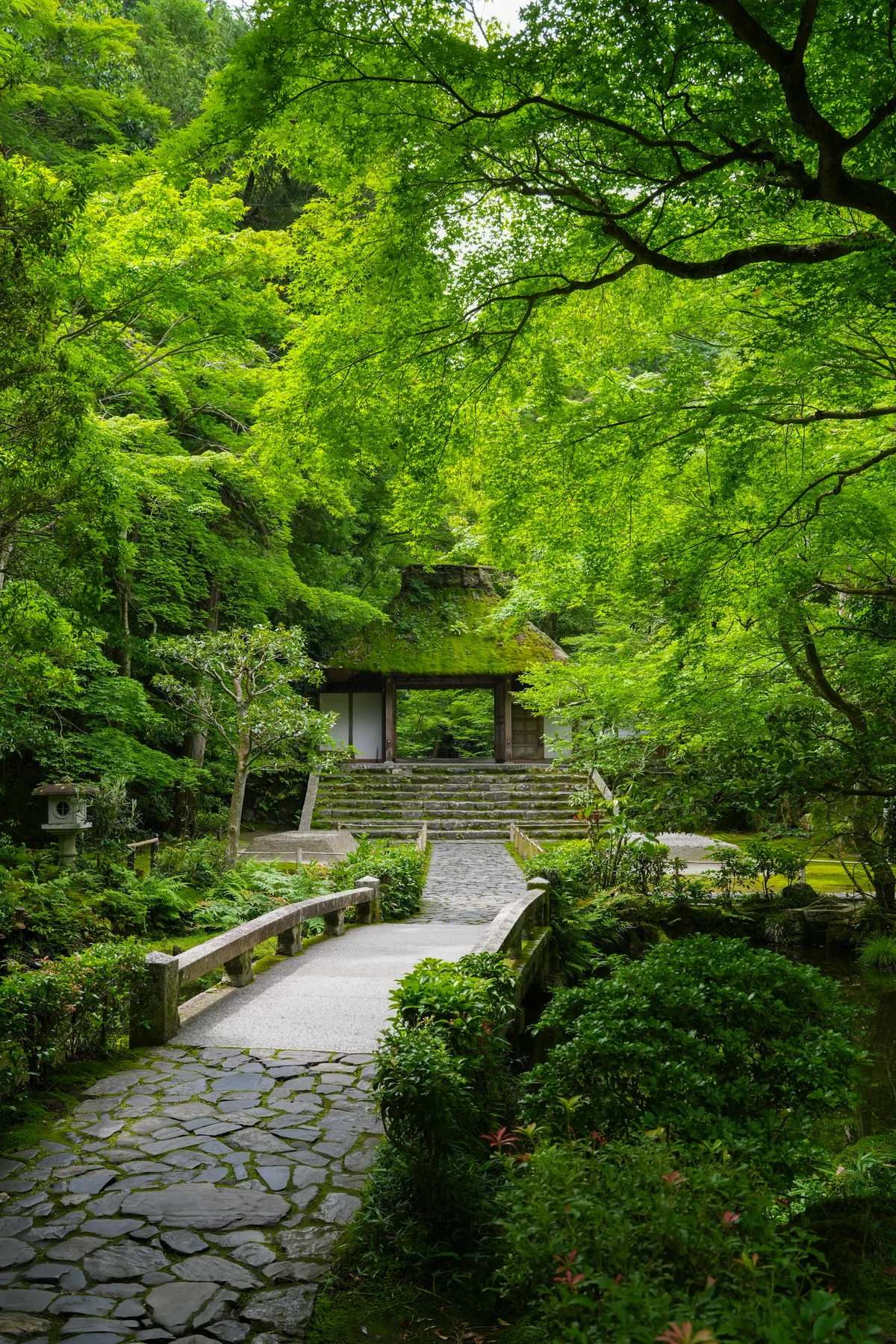 Kyoto temple garden landscape
