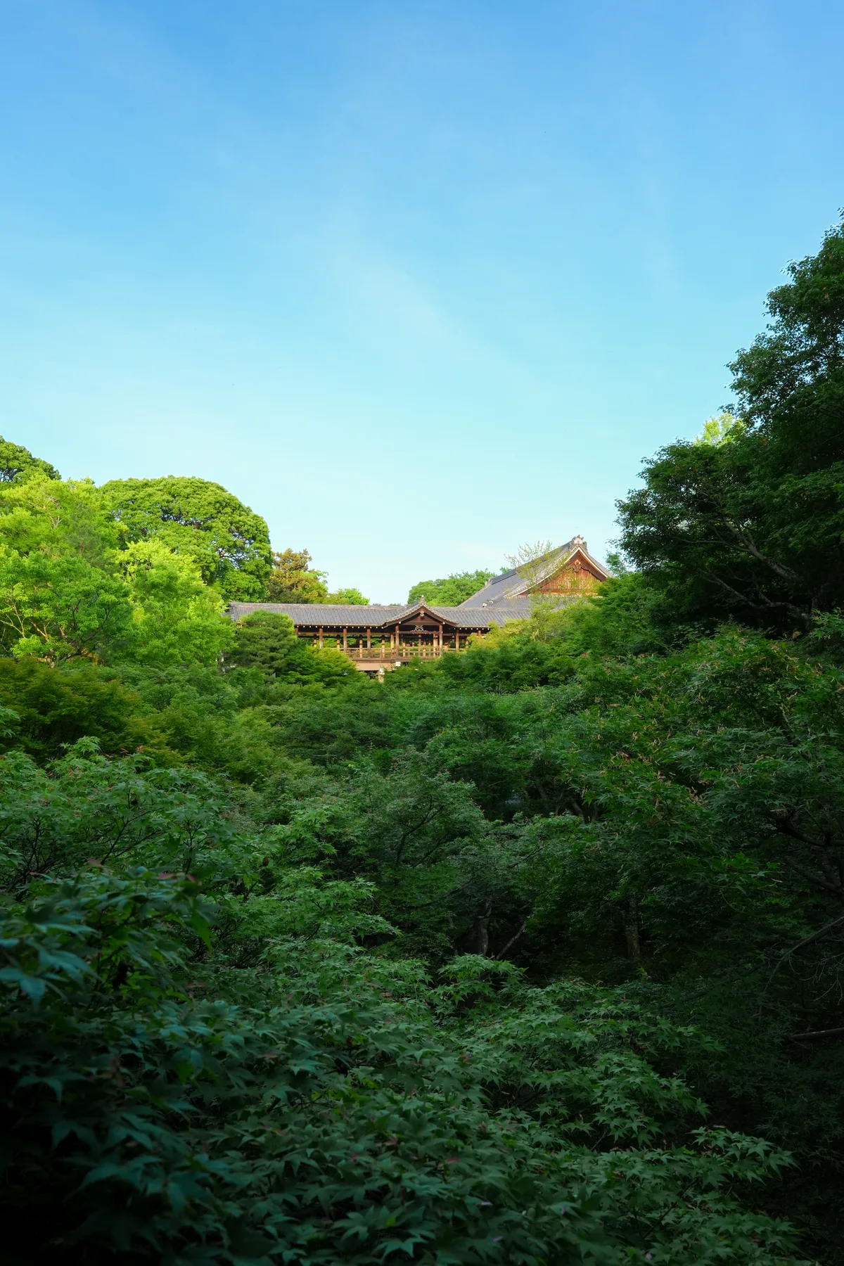 Kyoto temple garden landscape
