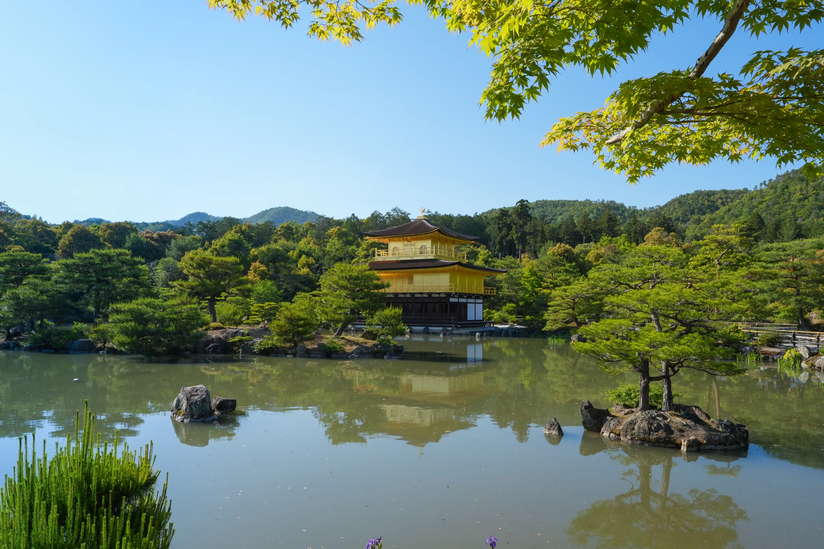 Kinkaku-ji & Zen Gardens Walk