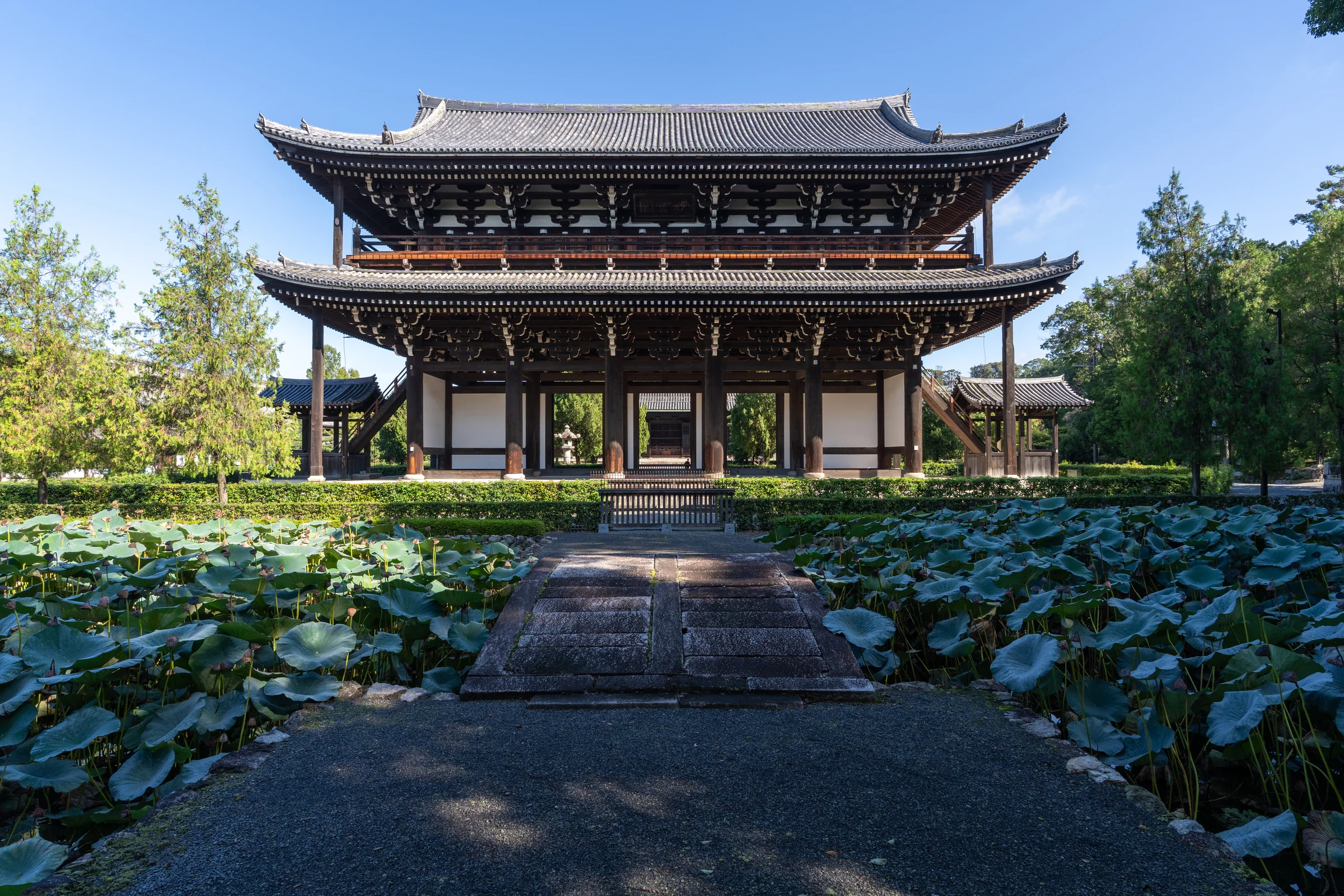 Sanmon gate beyond a lotus pond at Tofuku-ji Temple