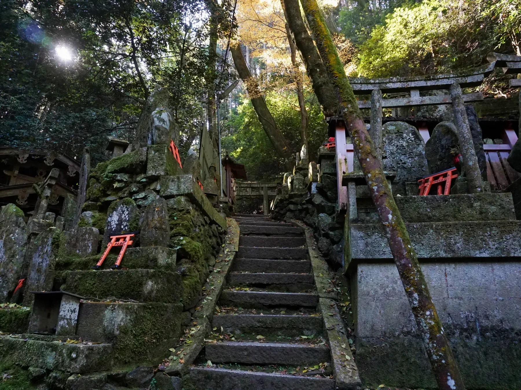 Stone steps between altars and a torii at Kiyotaki on Mount Inari