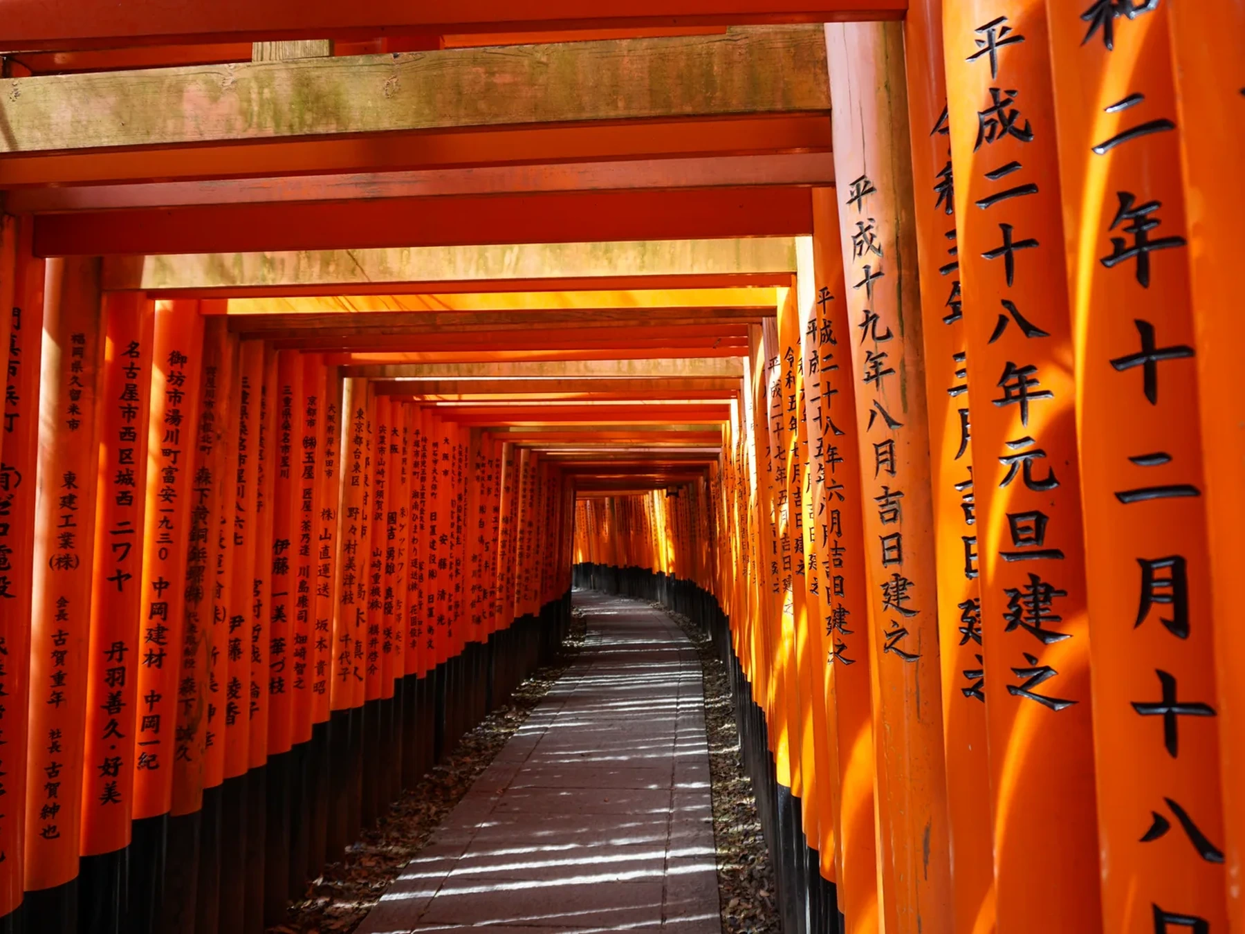 Senbon Torii on the approach to Fushimi Inari Taisha