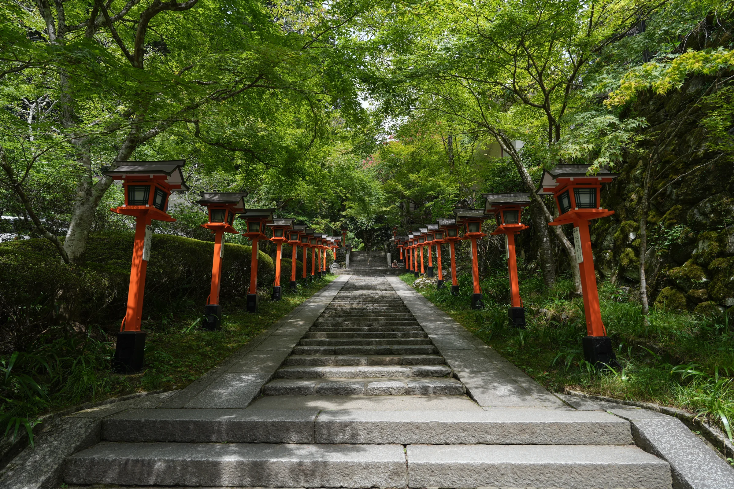 Red lanterns lining the cedar-shaded steps toward Kurama-dera Temple.