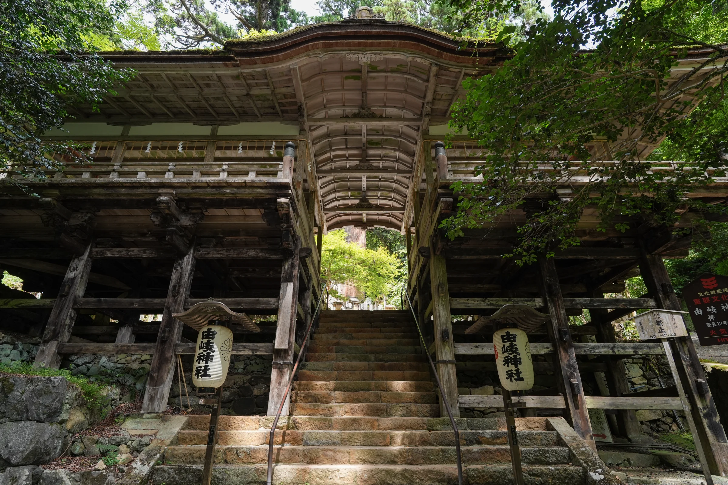 The covered approach to Yuki-jinja Shrine beneath the forest canopy.