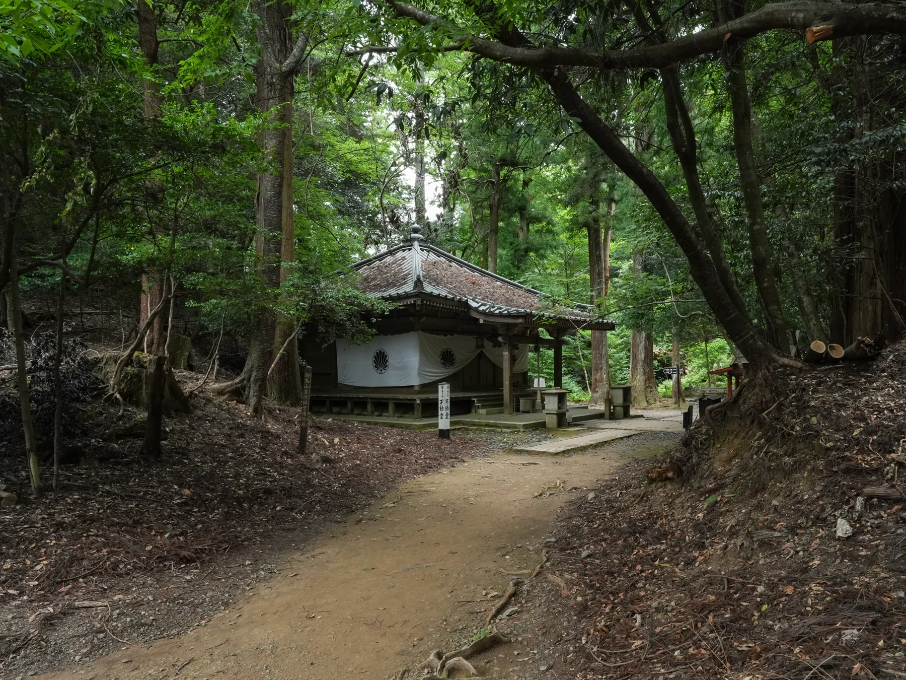 Fudōdō Hall set among the trees on Mount Kurama.