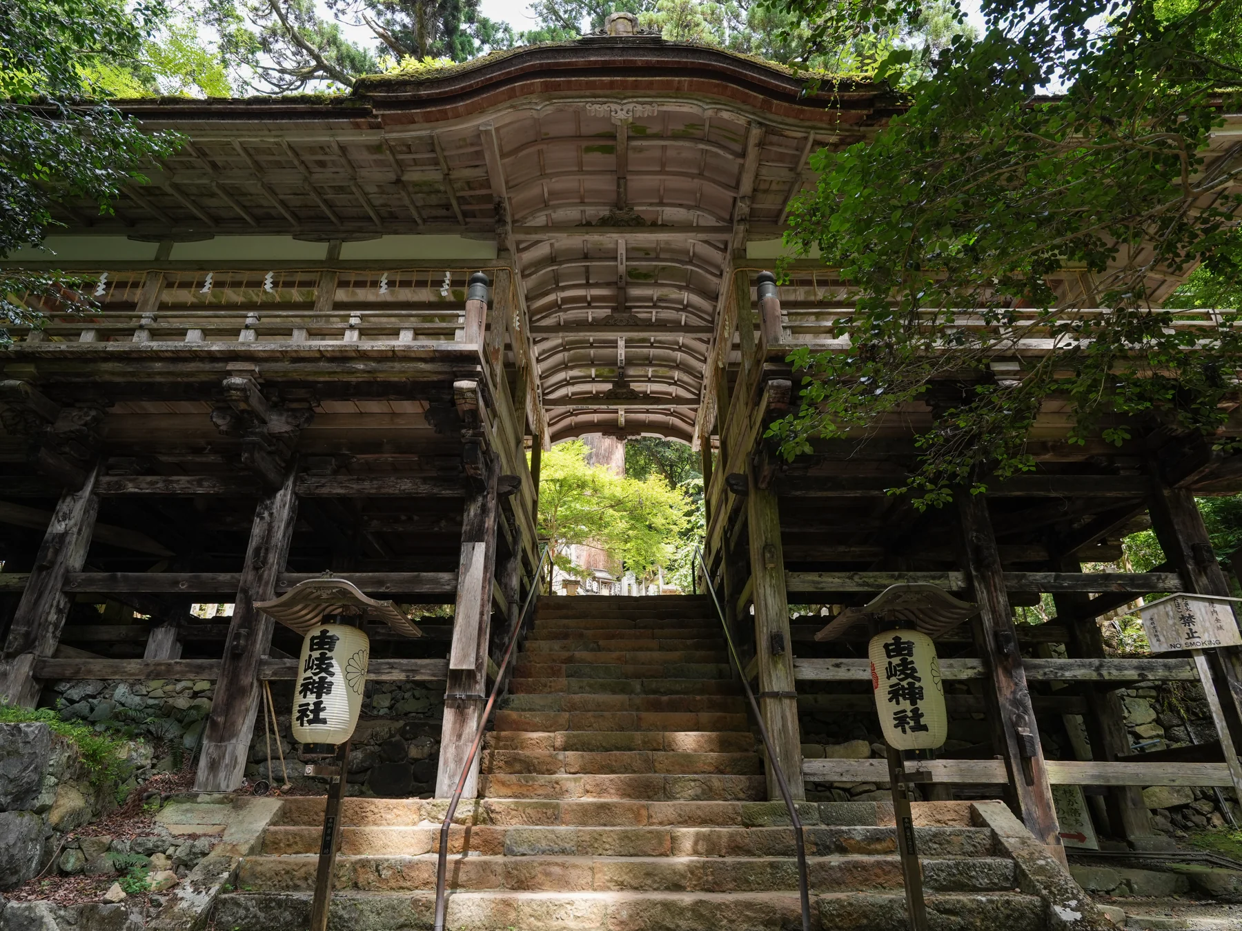 The covered approach to Yuki-jinja Shrine beneath the forest canopy.